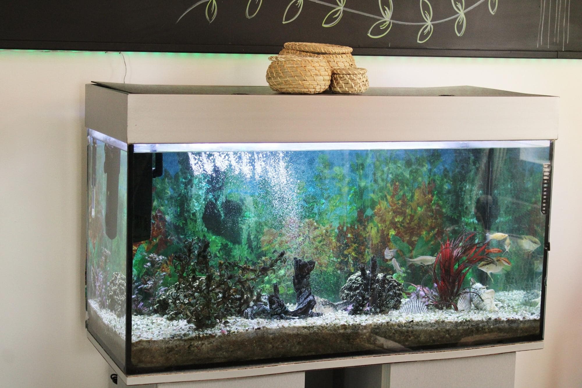 Hotel Richter, Restaurant