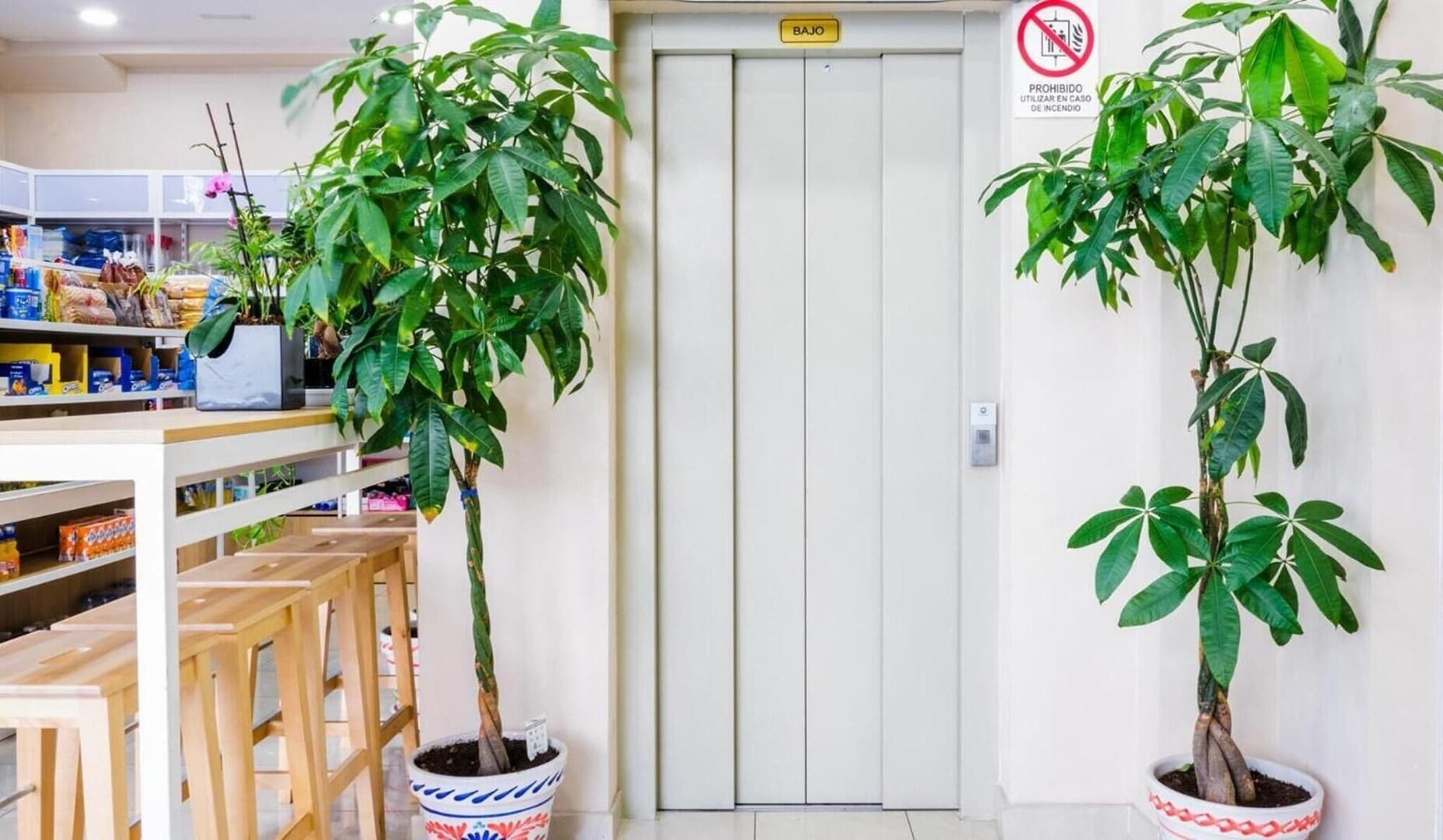 Hostal Golden Alcalá, Lobby