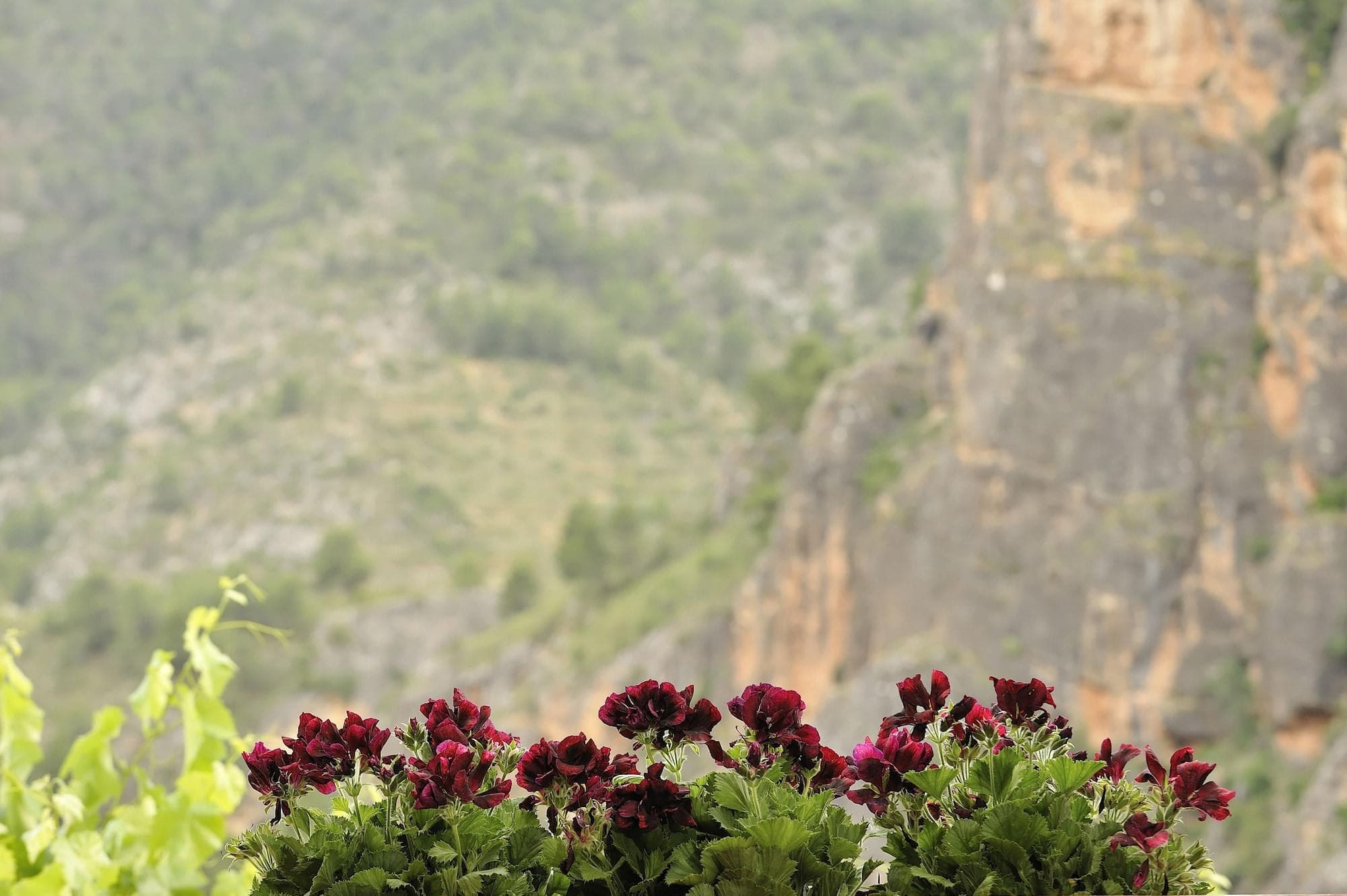 Miralmundo Hostal Rural, Room