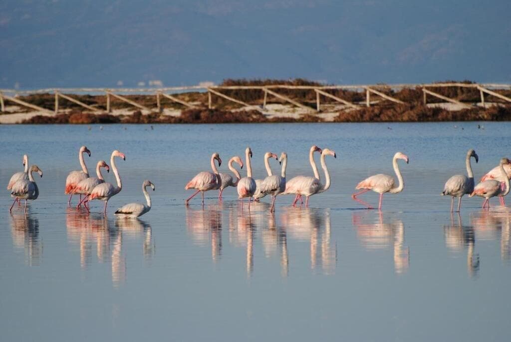 Hotel Ristorante Silvestrino, General view
