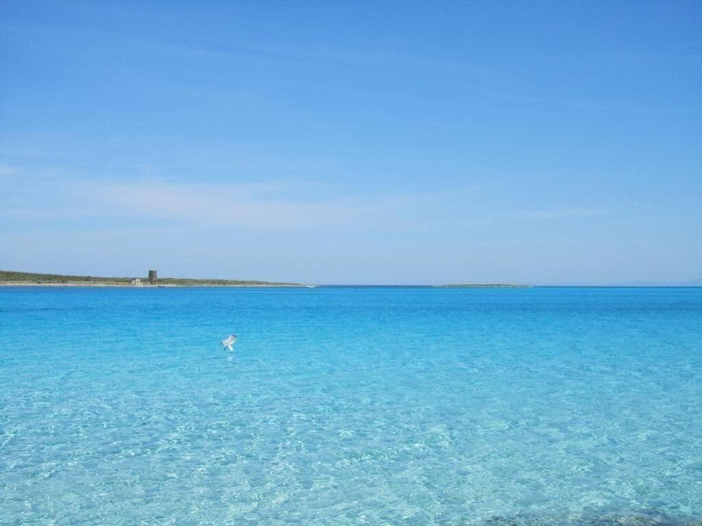 Hotel Ristorante Silvestrino, Beach