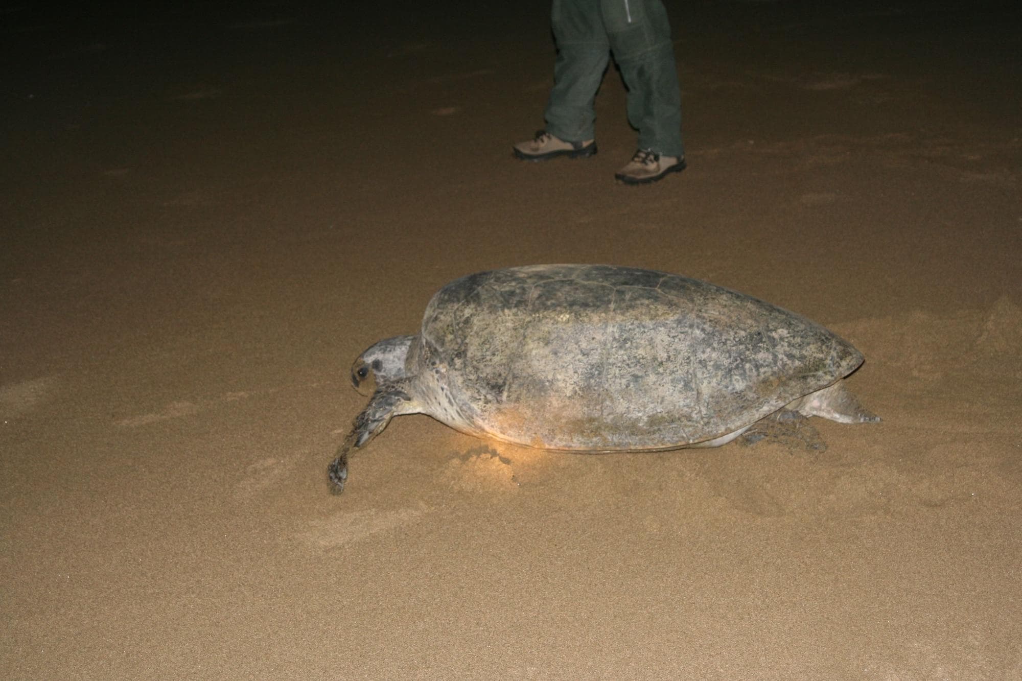 Rumah Kita, General view