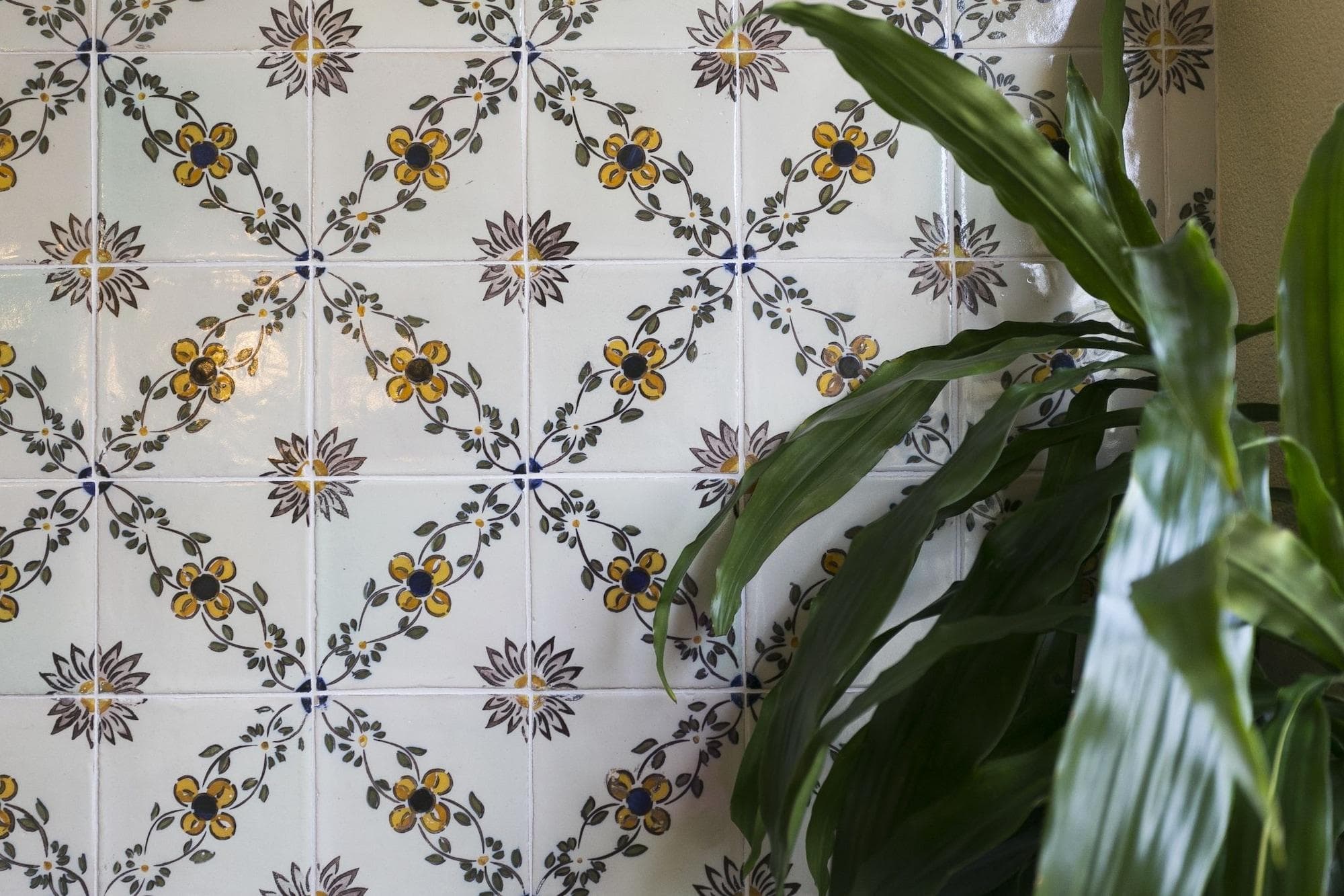 Charming Antas House, Room