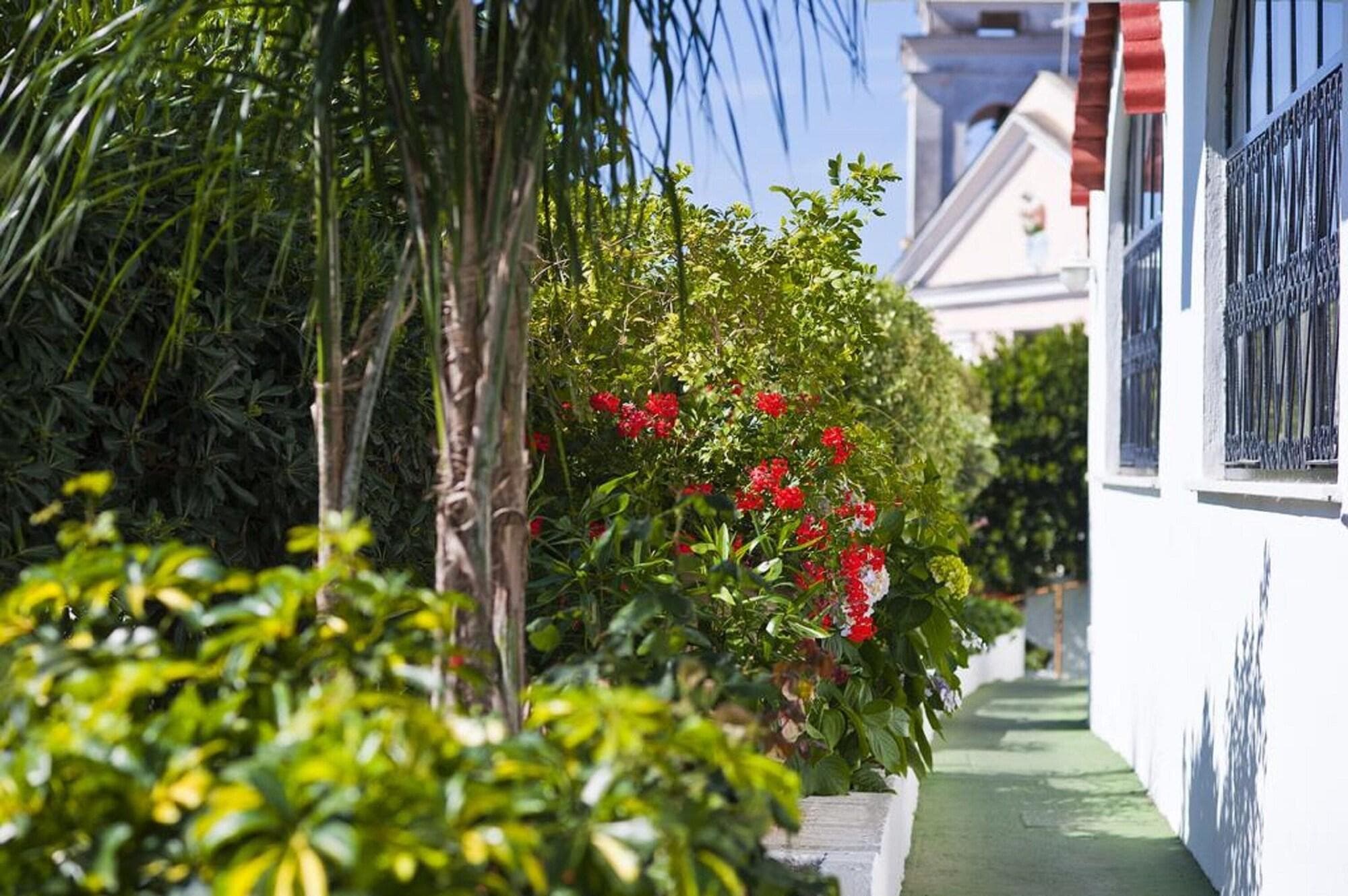 Casa Di Meglio Dependance, General view