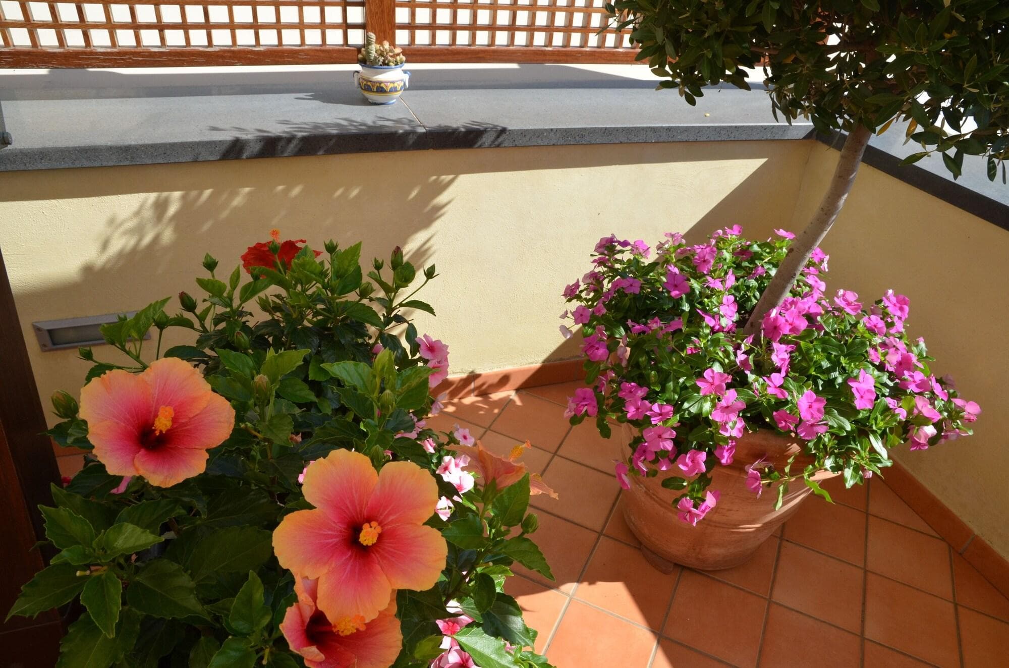 Villa Maria, Terrace