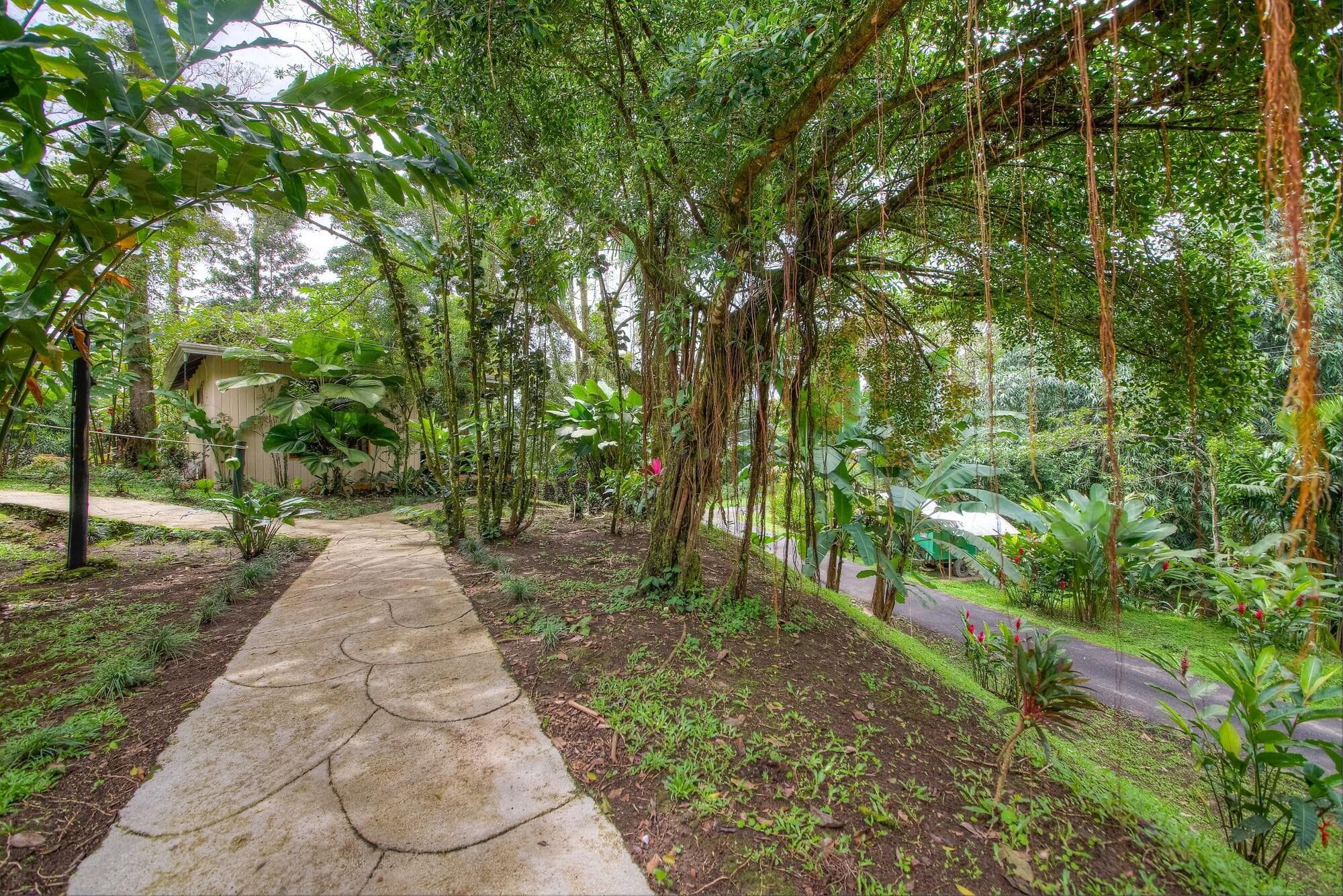 Hotel Kokoro Mineral Hot Springs, General view