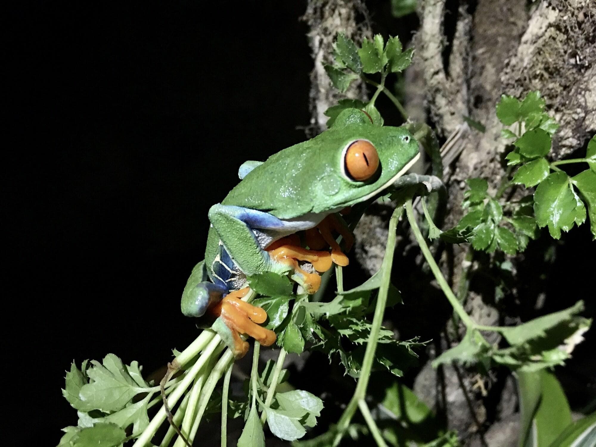 Hotel Kokoro Mineral Hot Springs, General view