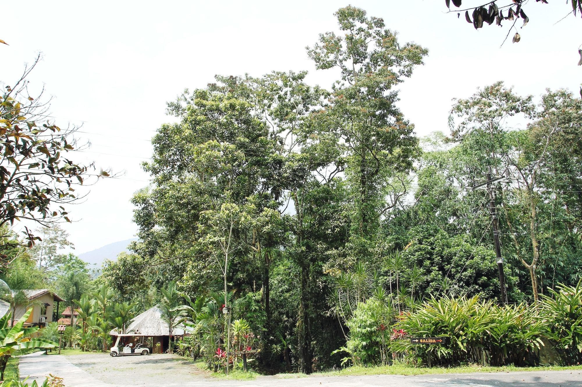 Hotel Kokoro Mineral Hot Springs, General view