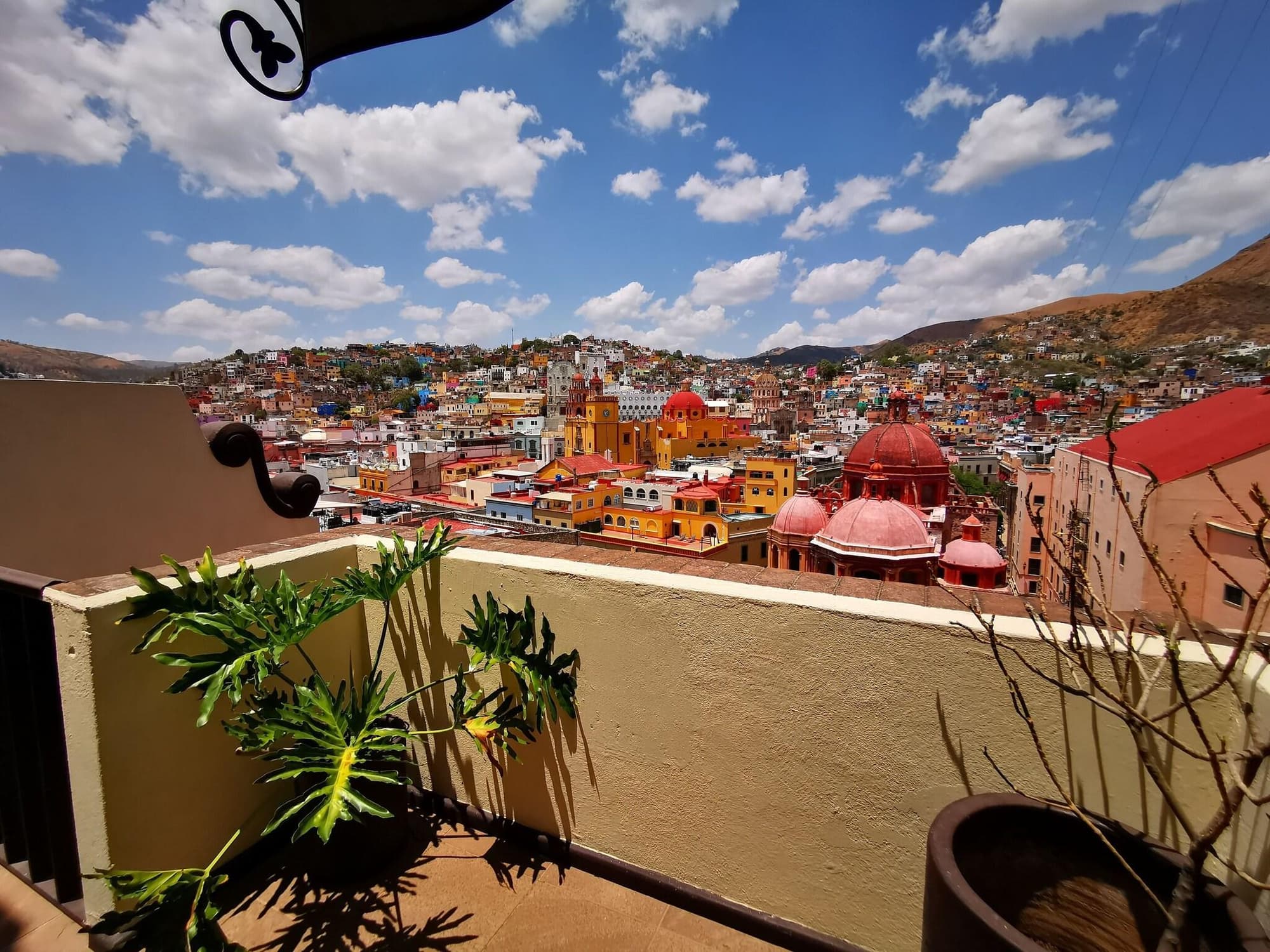 Hotel Chocolate, General view