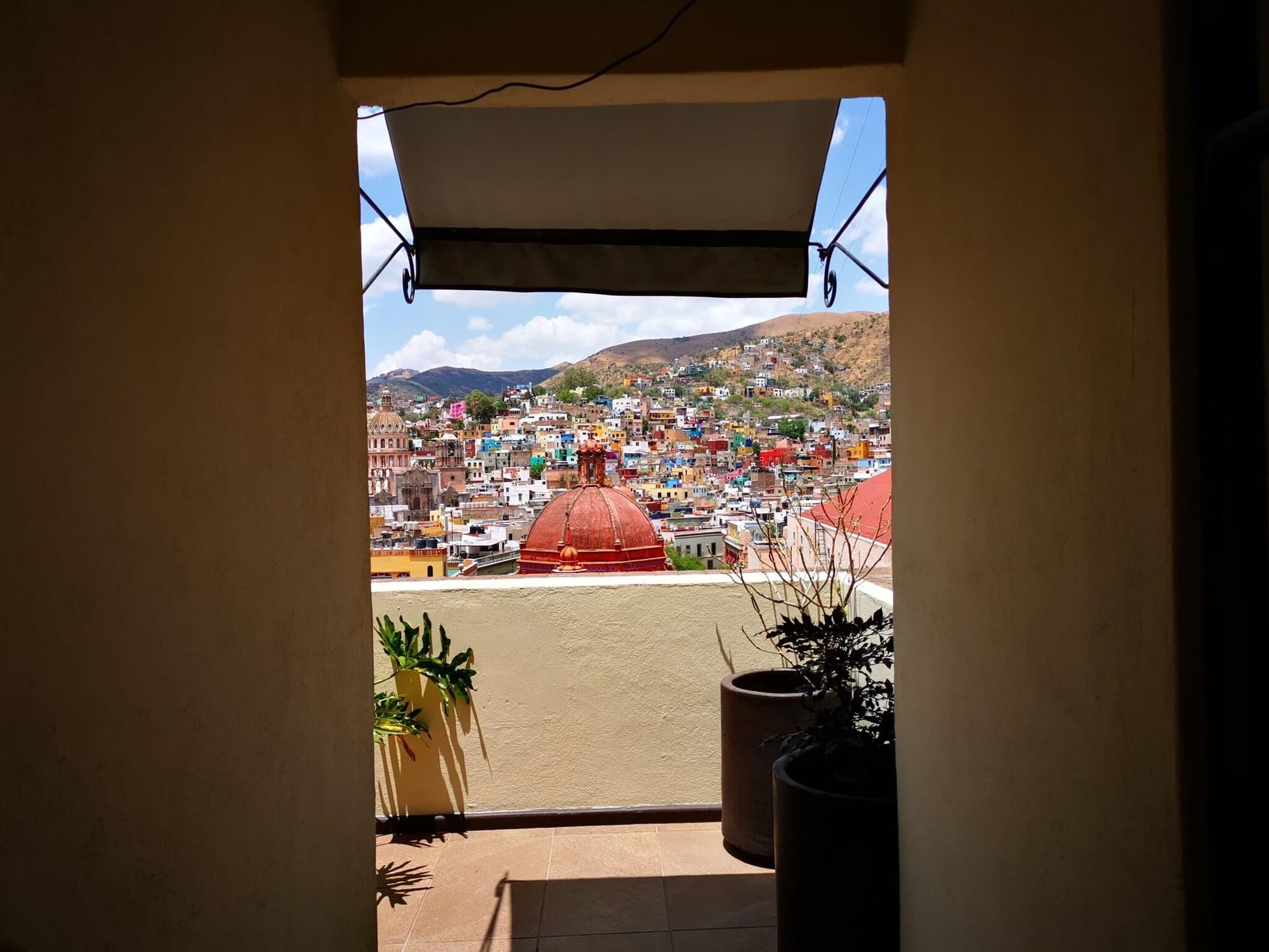 Hotel Chocolate, Lobby