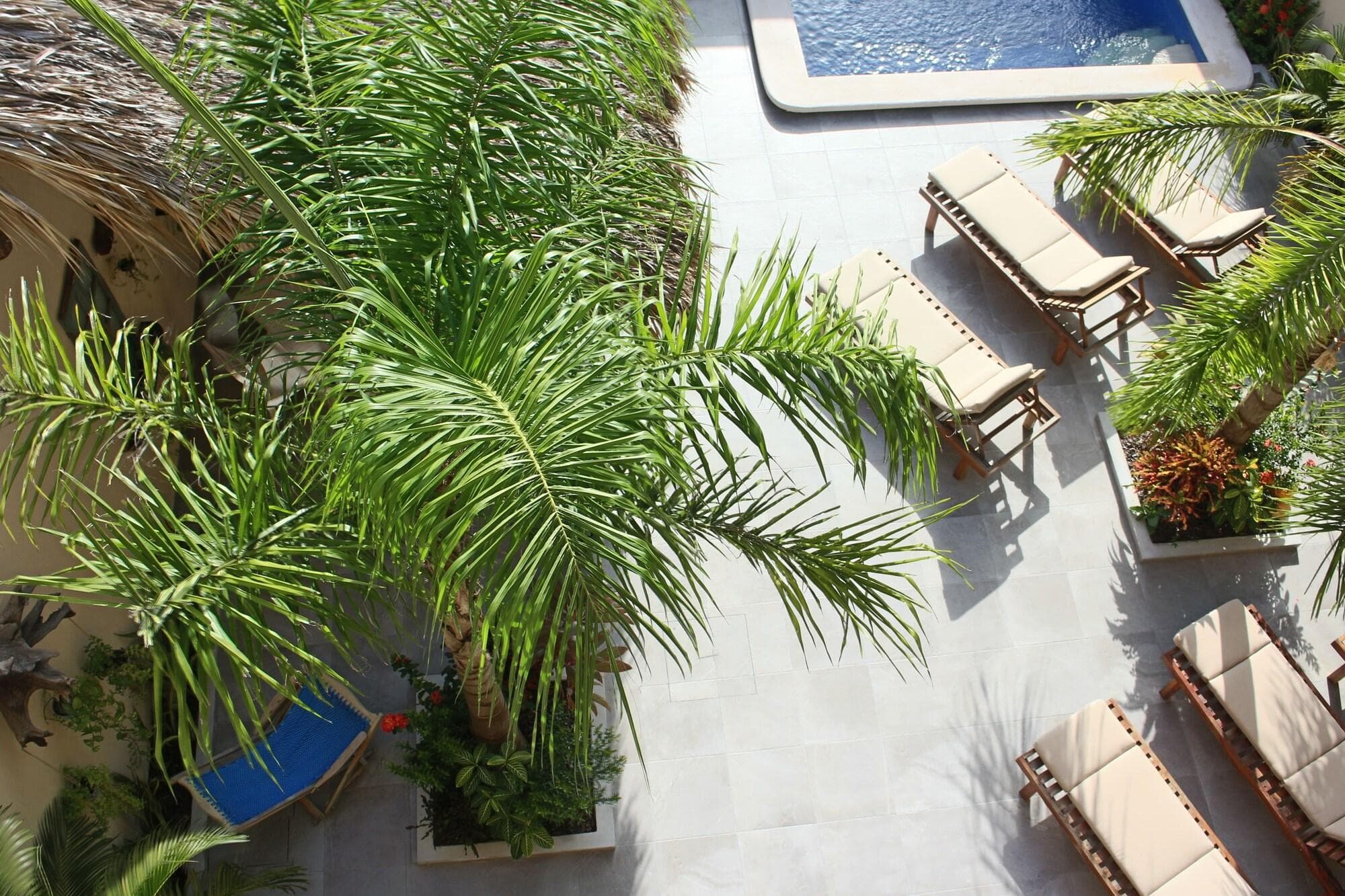 Hotel Casa Santiago Tulum, General view