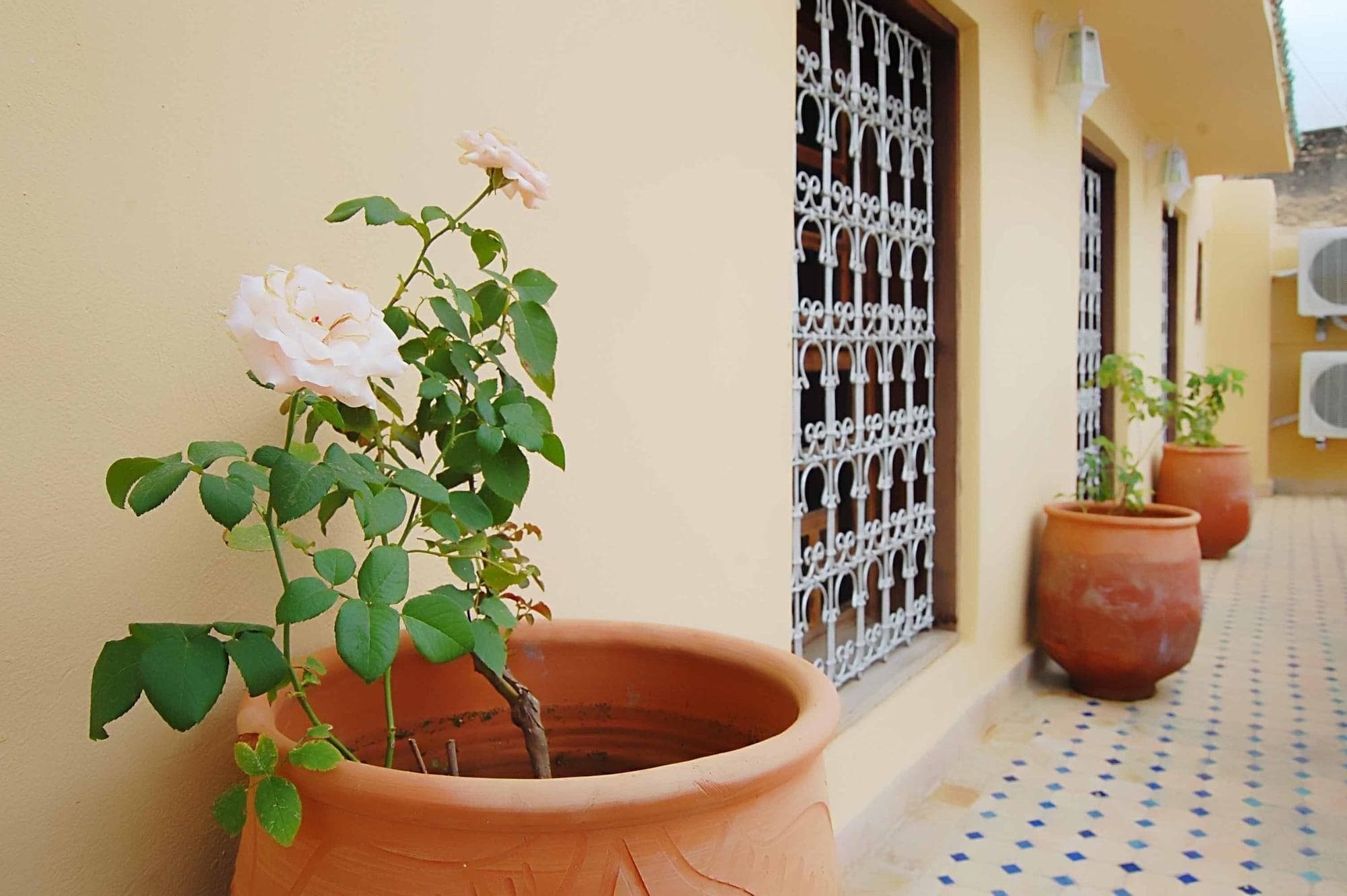 Riad Fes Aicha, General view