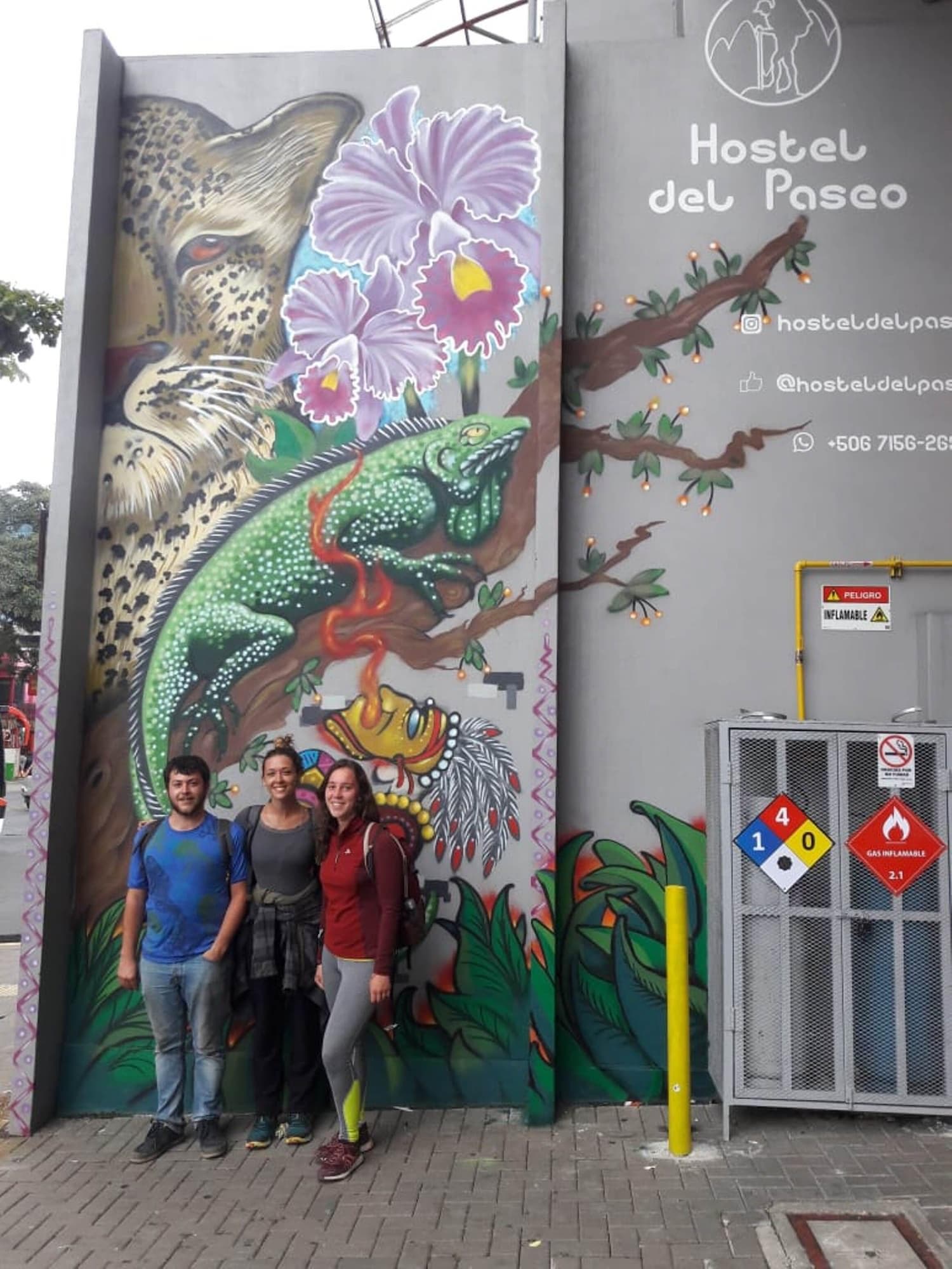 Hostel Del Paseo, General view