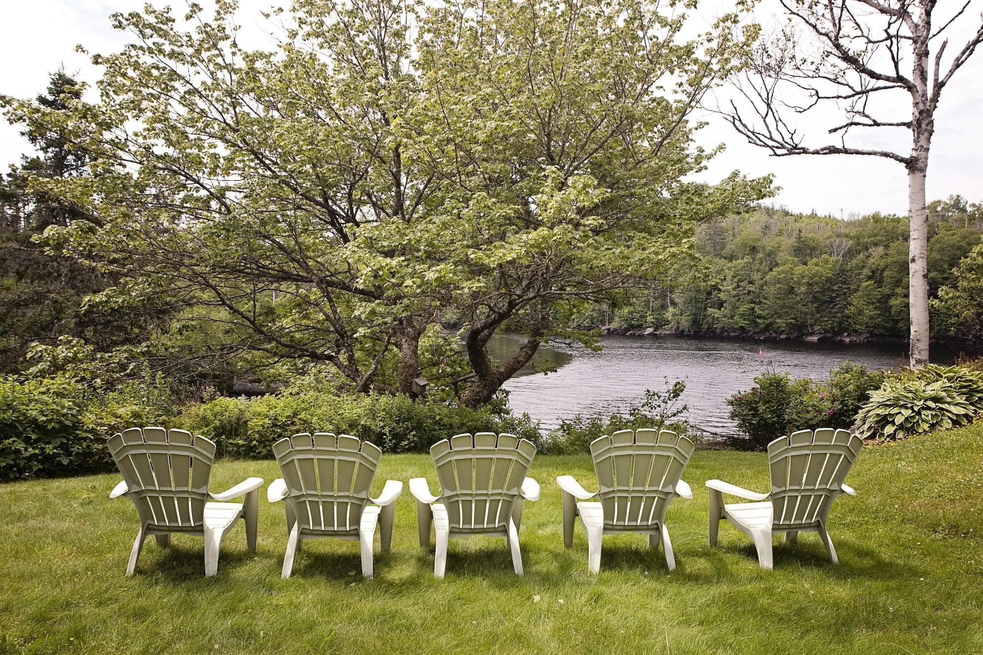 Liscombe Lodge Resort And Conference Centre, General view
