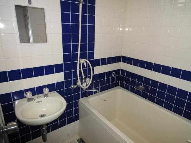 Soho Asakusa Hotel, General view