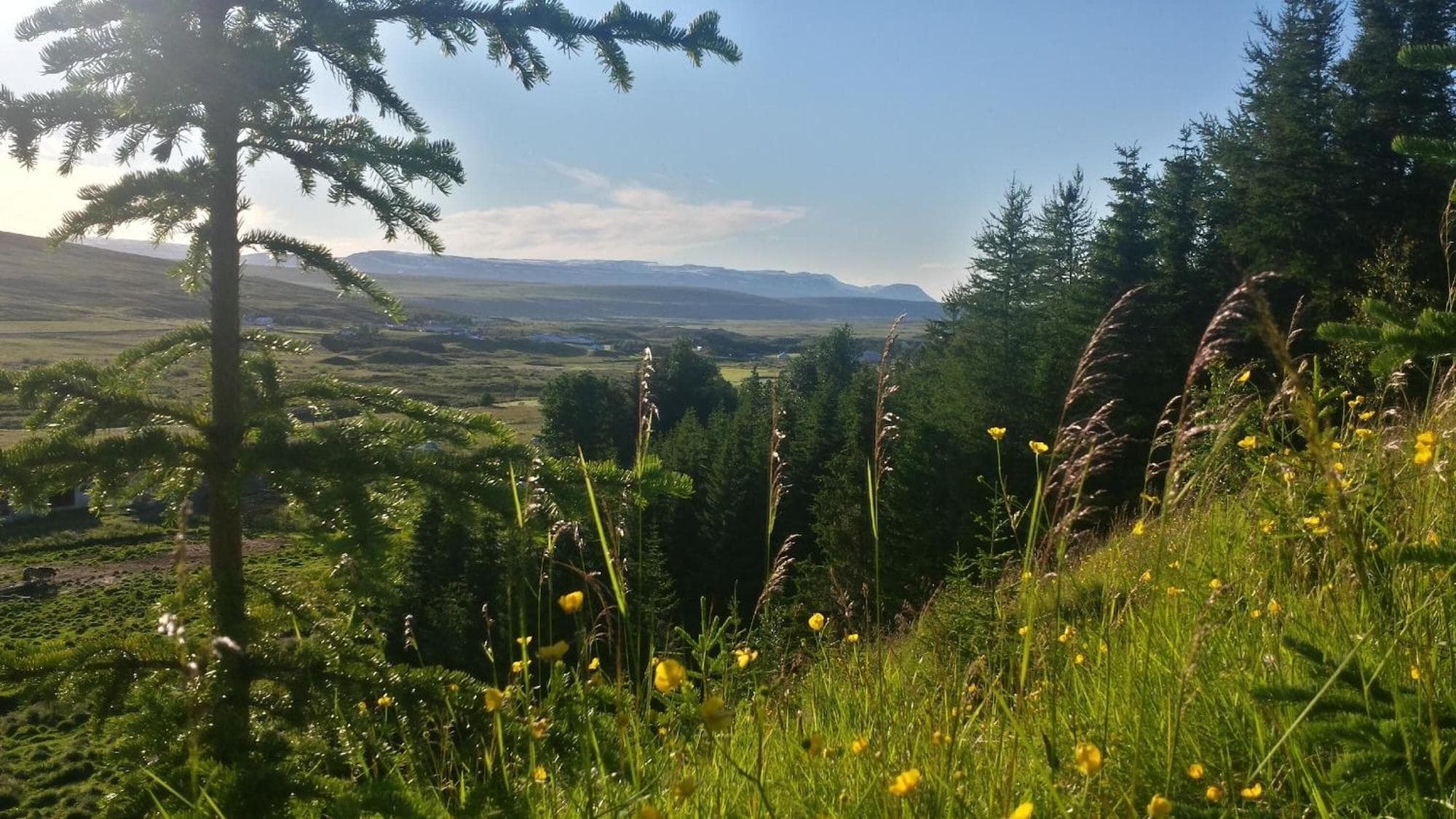 Guesthouse Hvitafell, General view