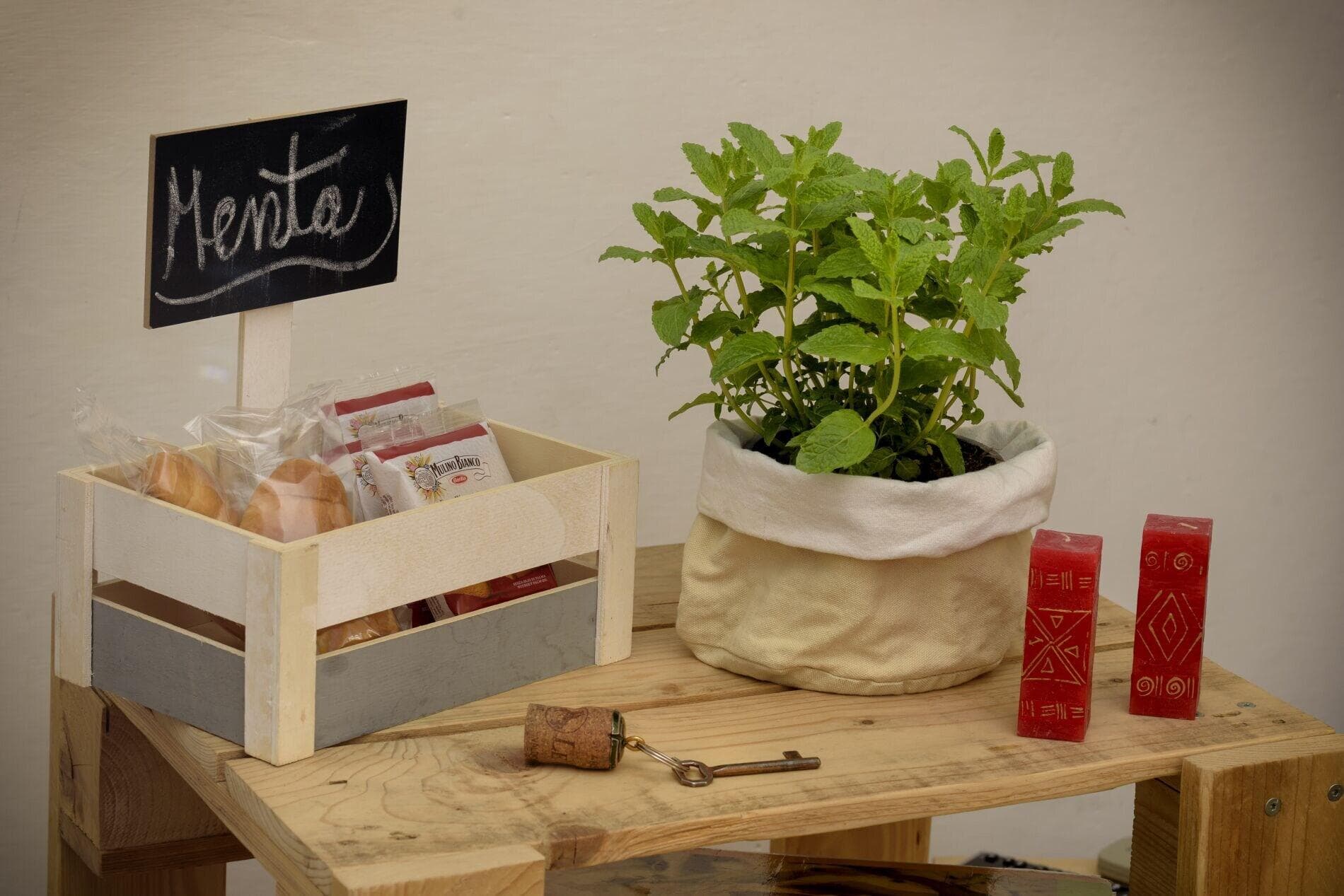 B&B L'Arca Di Noè, Room