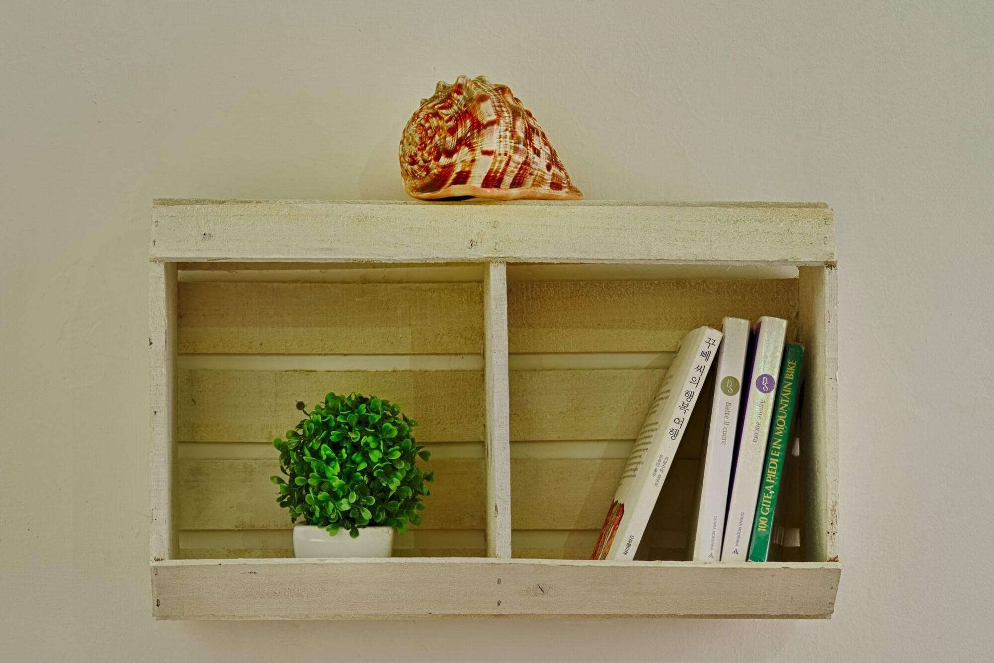 B&B L'Arca Di Noè, Room