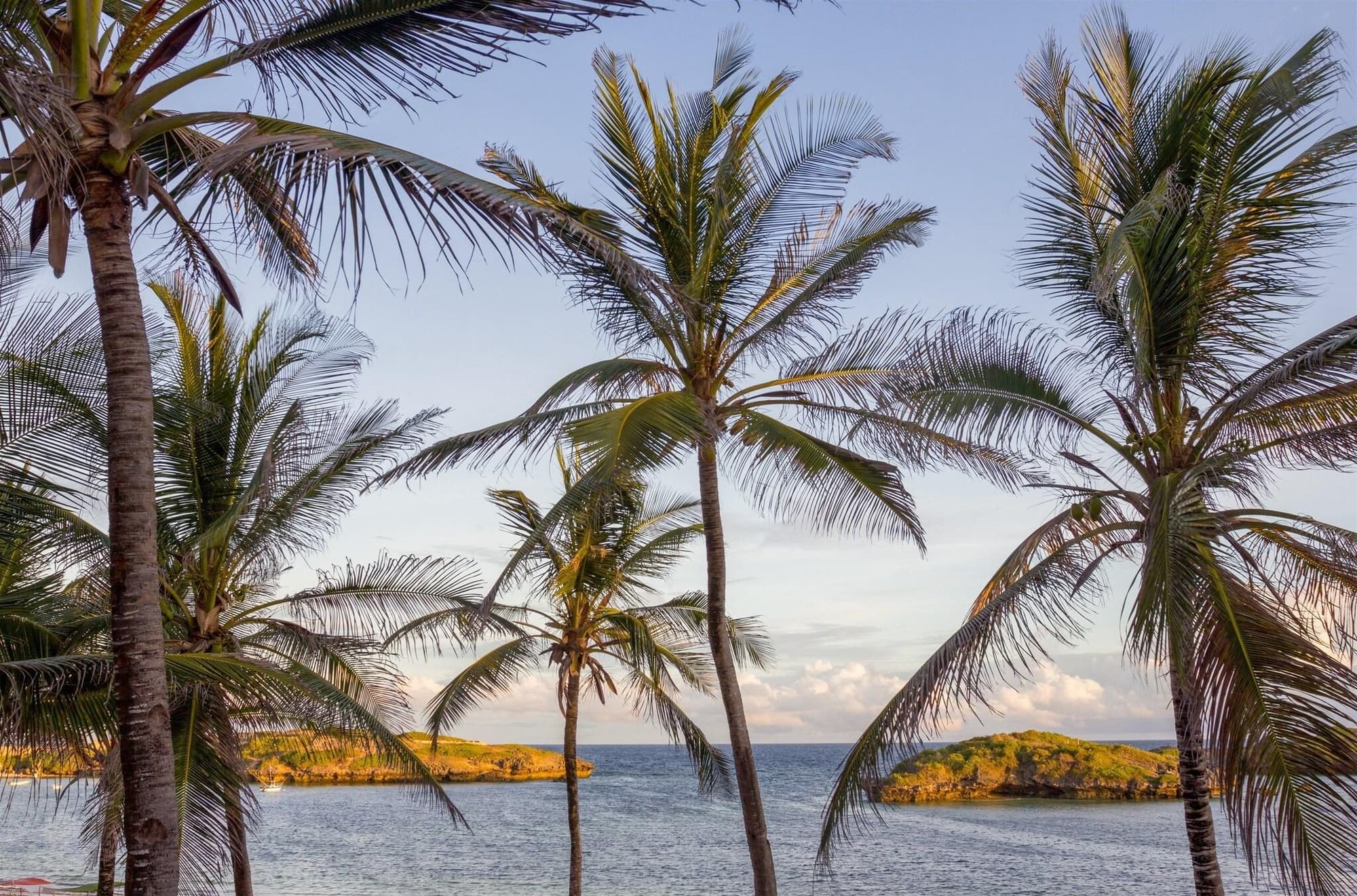Lily Palm Resort, General view