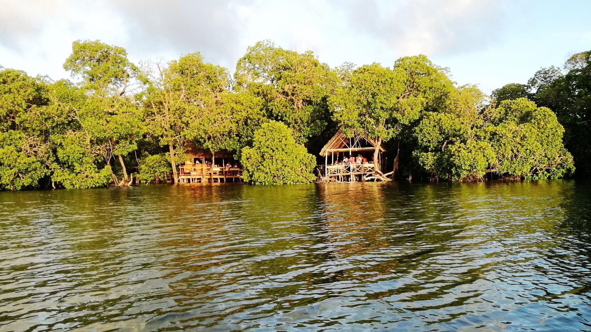 Lily Palm Resort, General view
