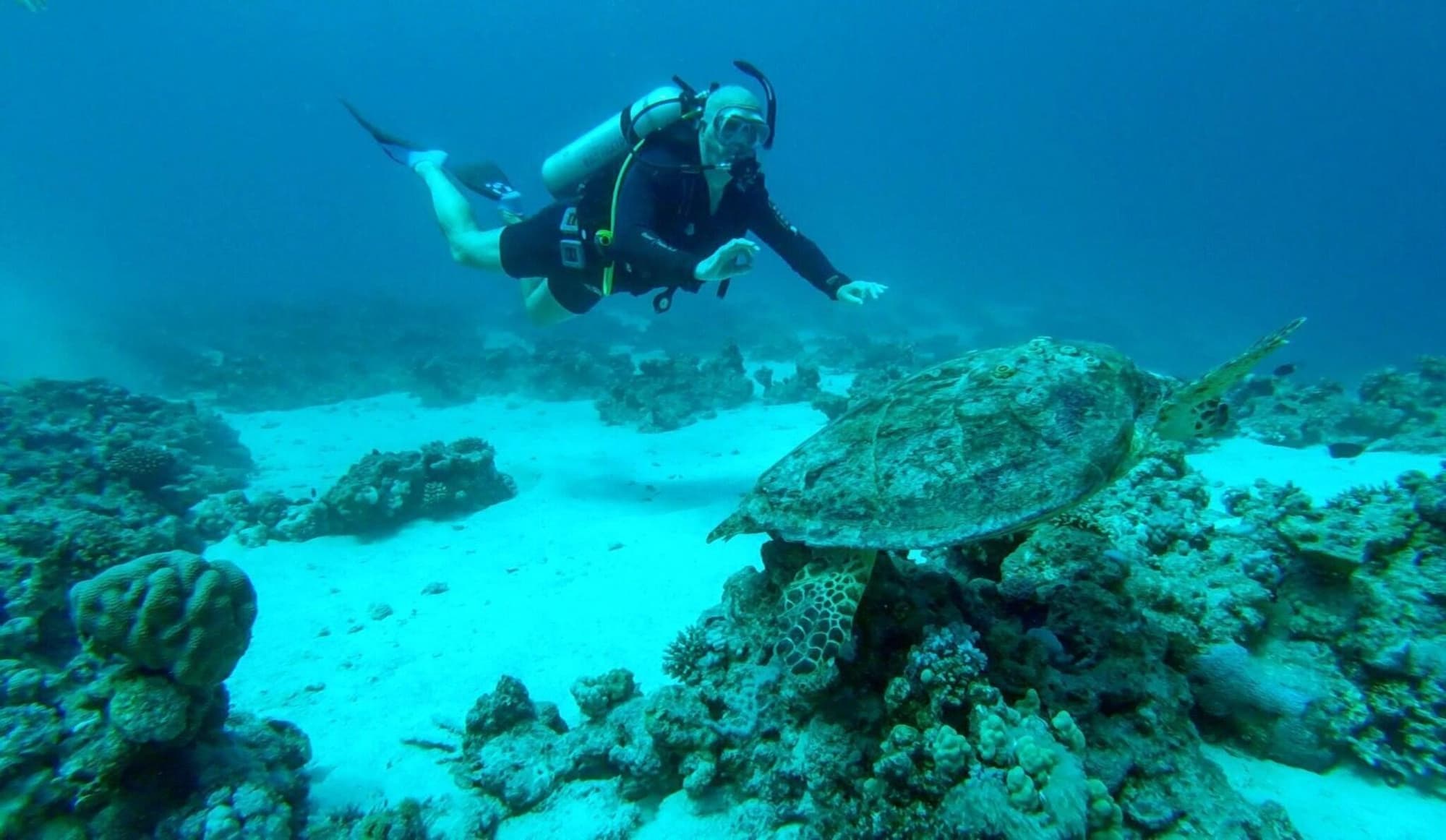 Lily Palm Resort, General view