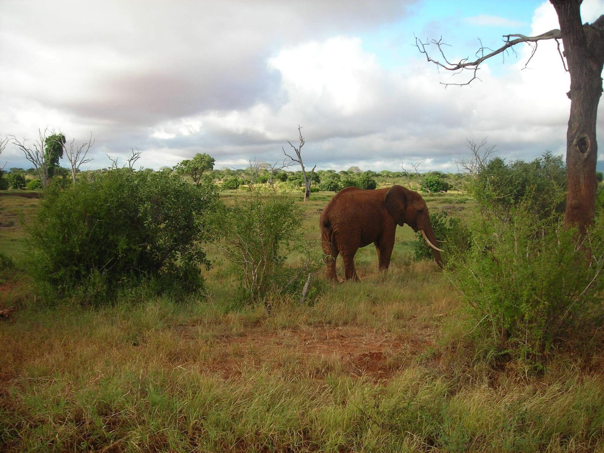 Lily Palm Resort, General view