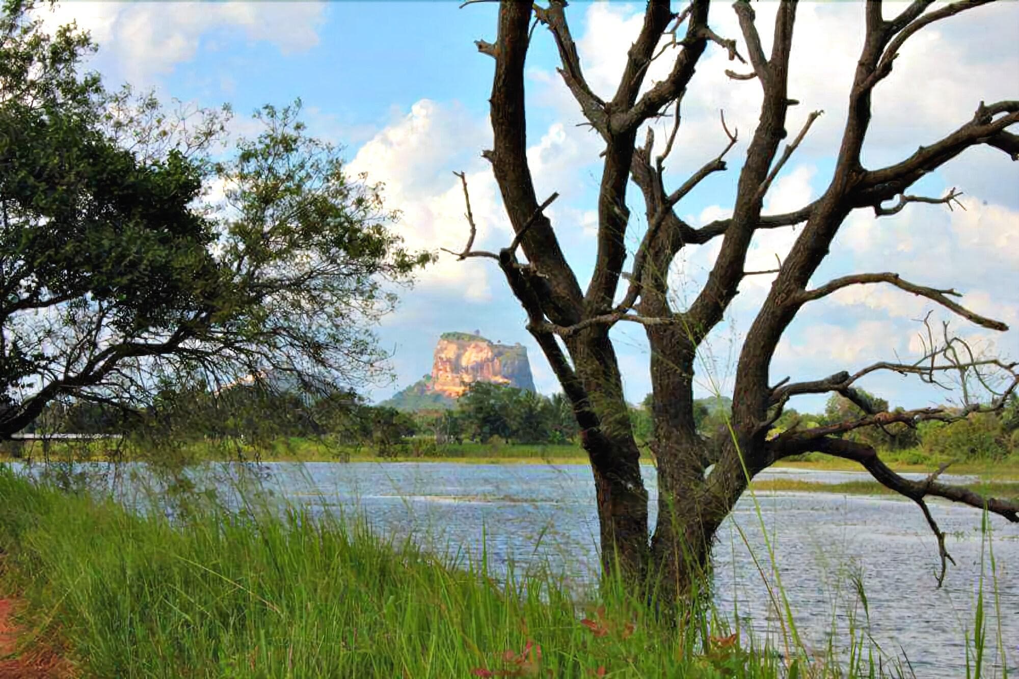 Rho Sigiriya Lake Edge Retreat, General view