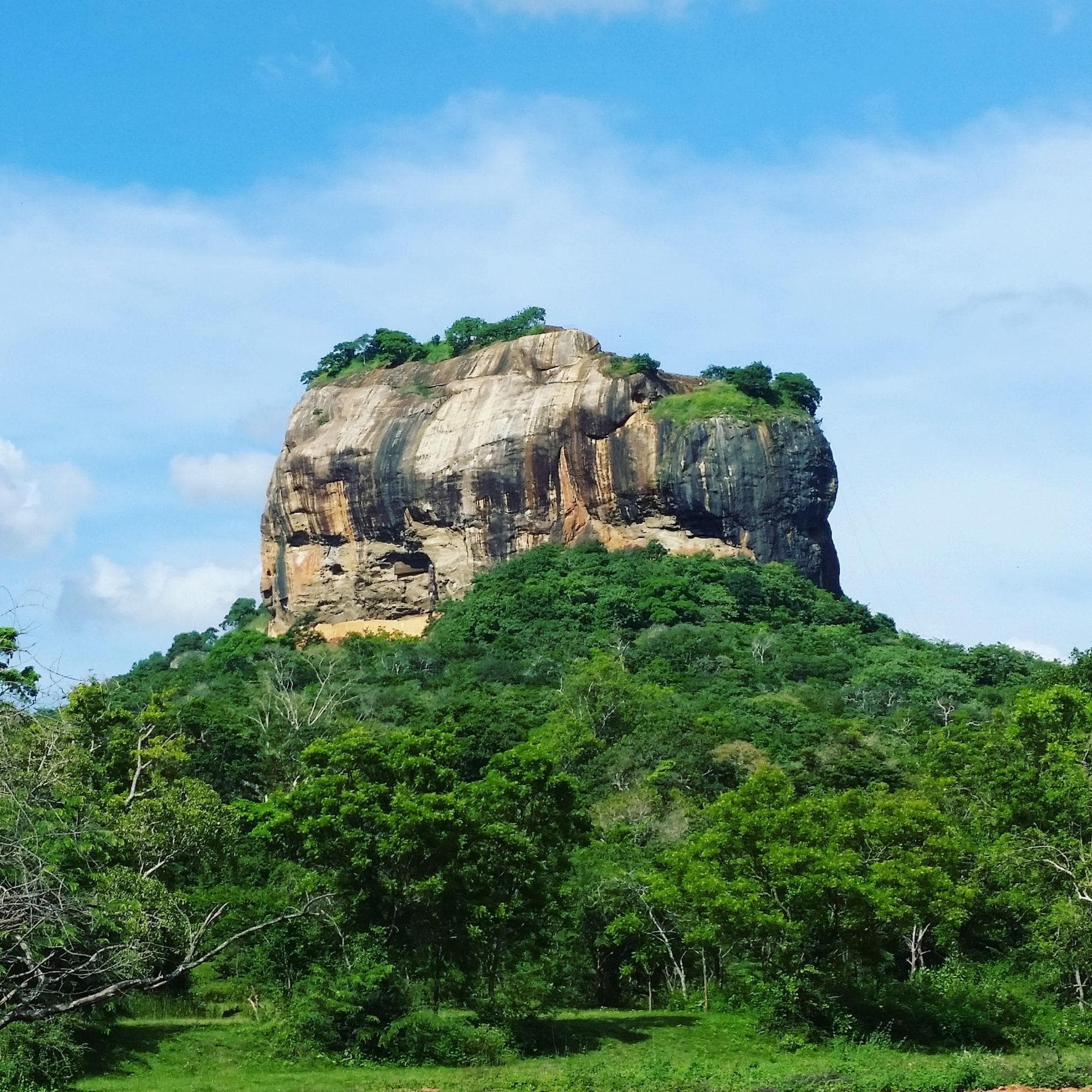 Rho Sigiriya Lake Edge Retreat, General view