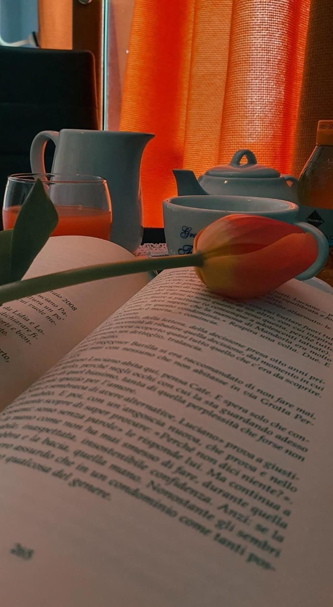 Hotel Mediterraneo, Restaurant