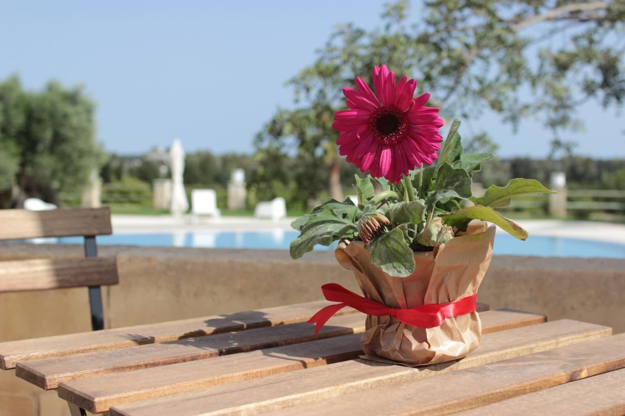 Masseria Savoia Resort, Sports and Entertainment