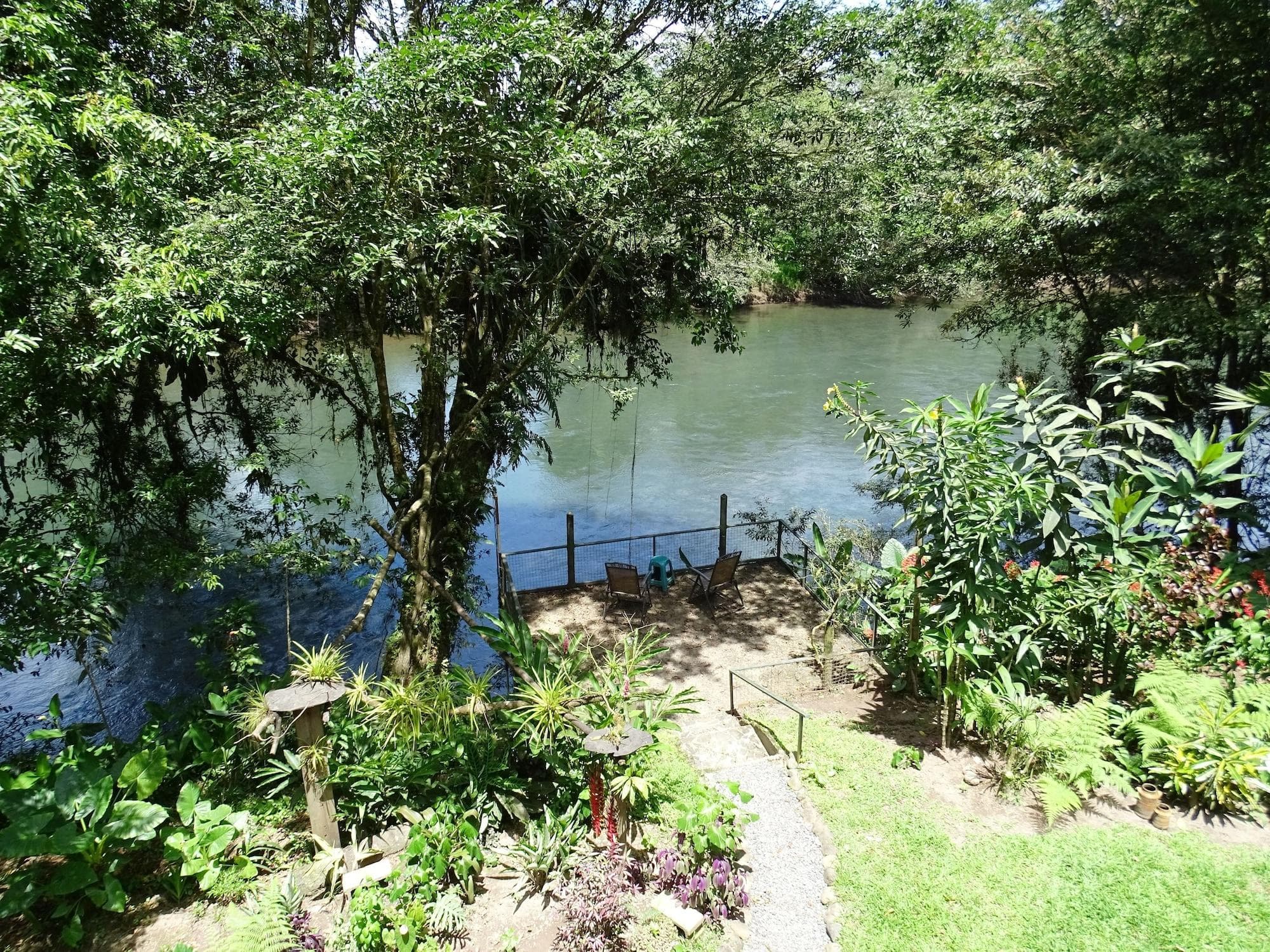 Heliconia Island, Bar