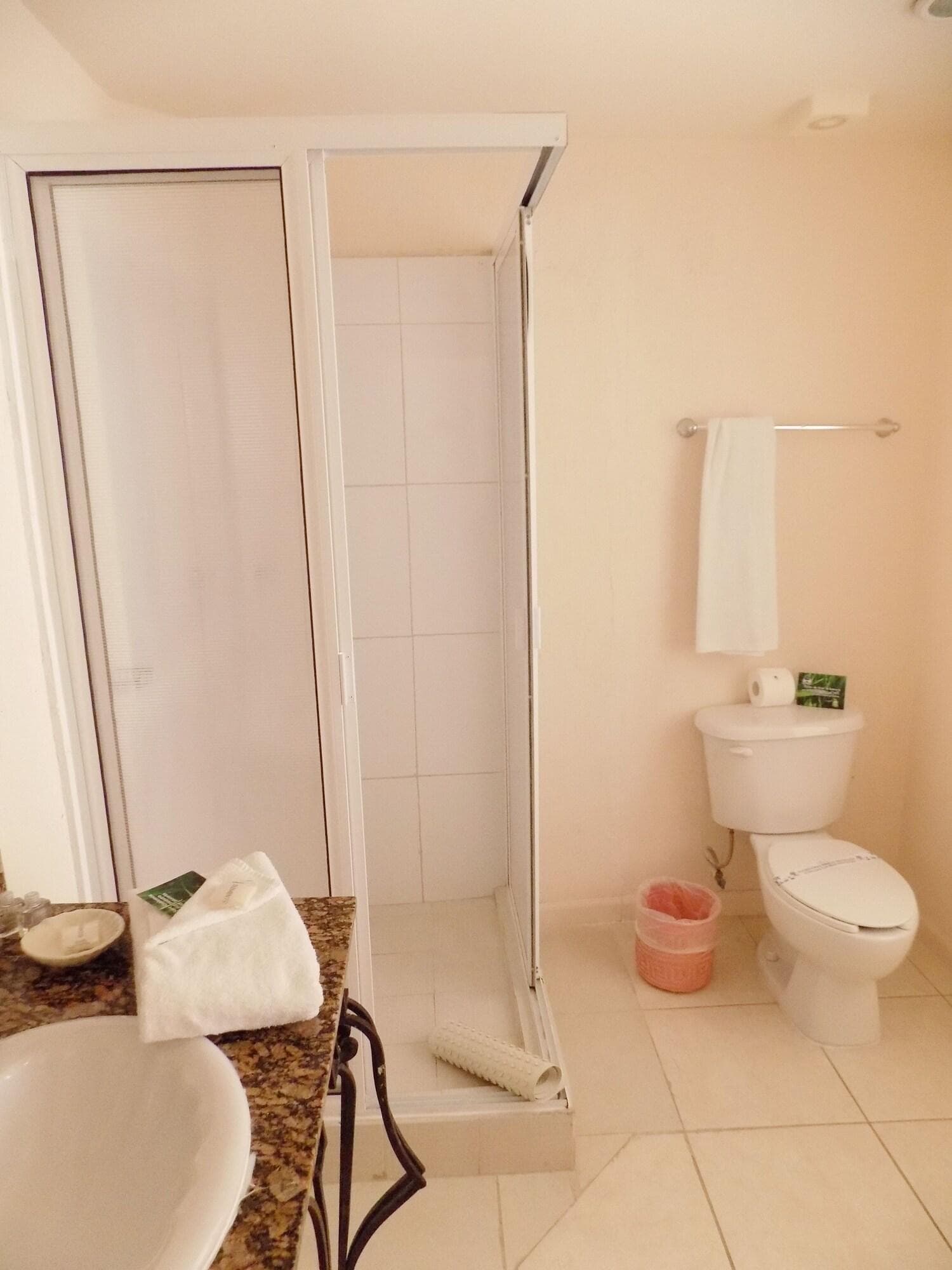 Hotel Las Palomas Nuevo Vallarta, Room