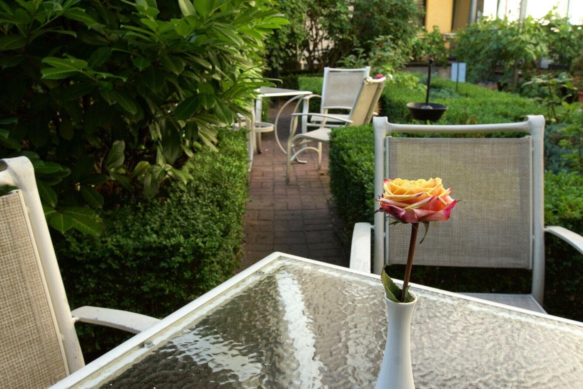 Bed & Breakfast am Luisenplatz, General view