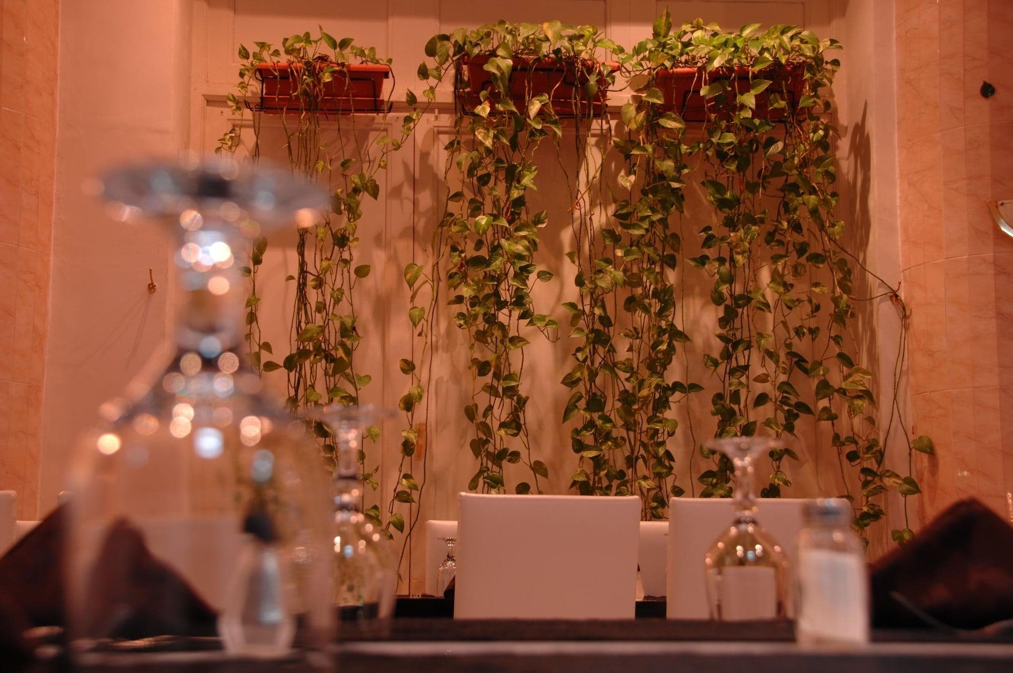 Le Chamonix, Restaurant