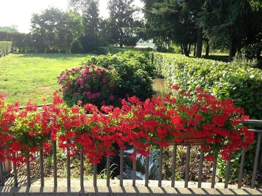 Hotel Ristorante Gama, General view