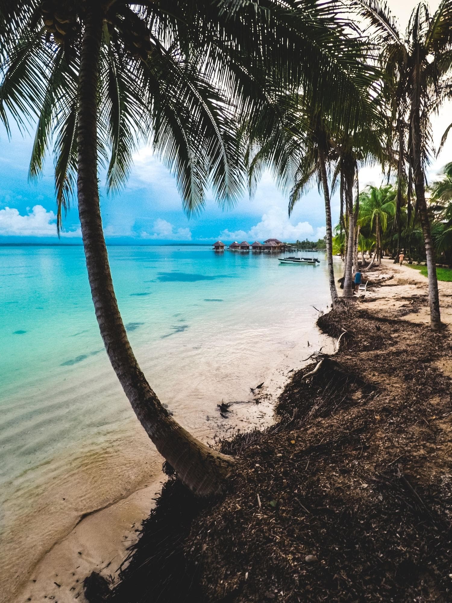Azul Paradise, General view