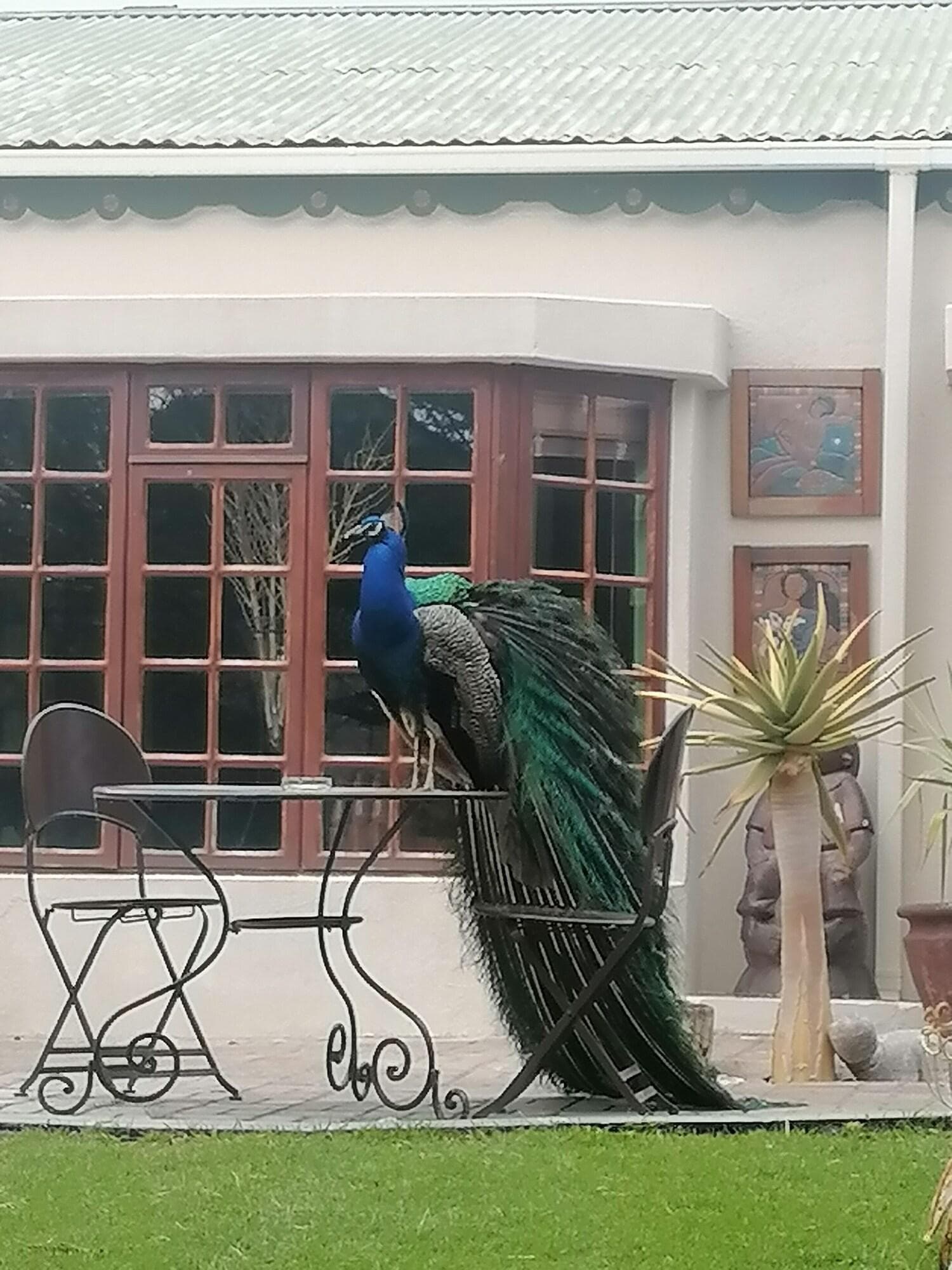 Daisy Country Lodge, General view