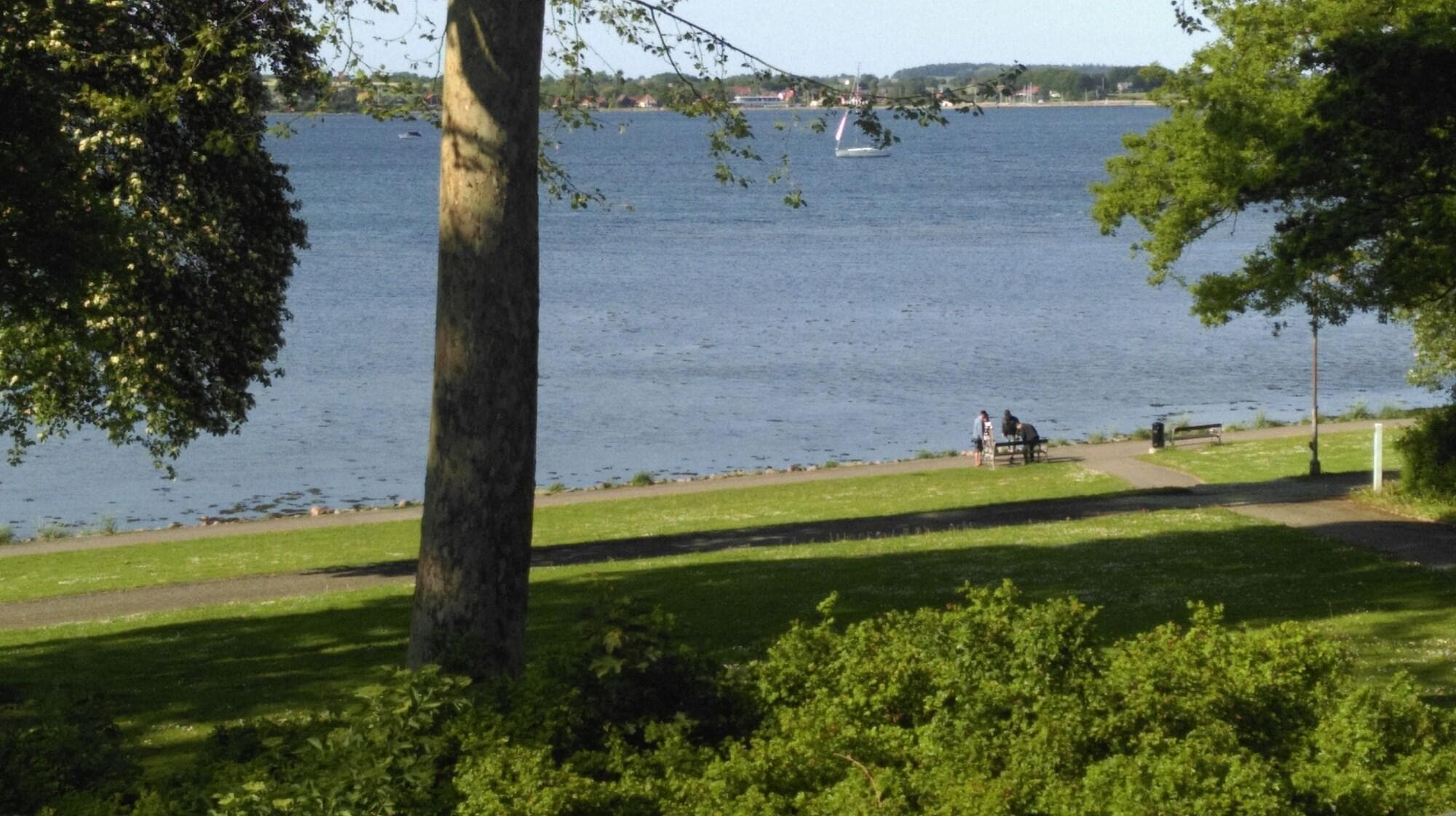 Hotel Strandparken, General view