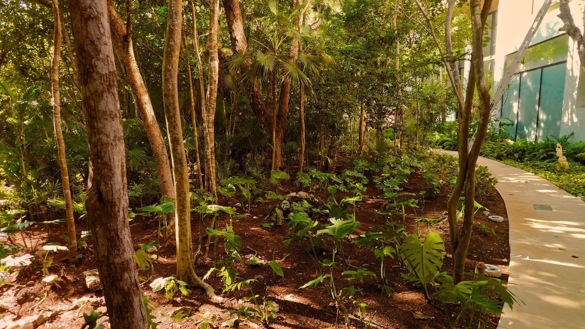 Aloft Tulum, General view