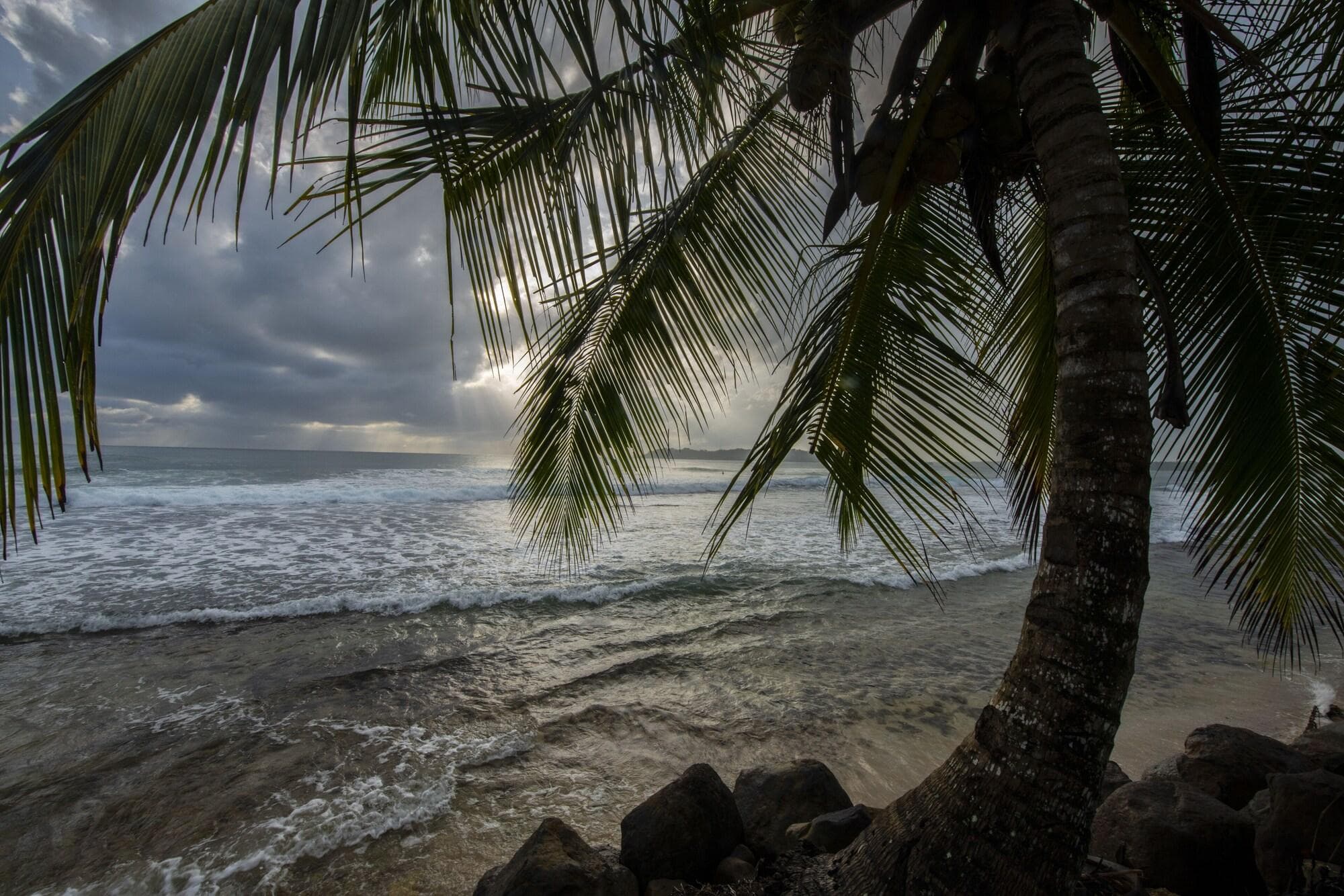 La Coralina Island House, Beach