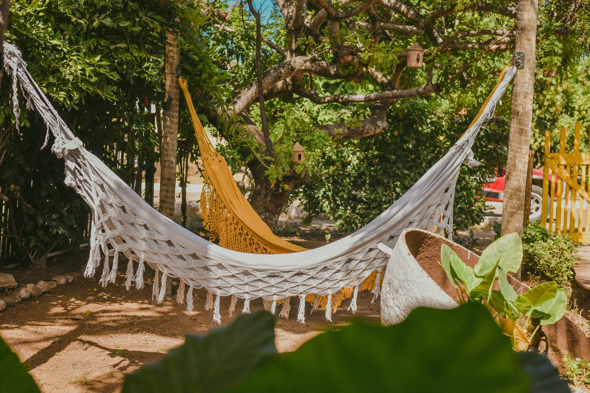 Ecocharme Pousada Netuno, General view