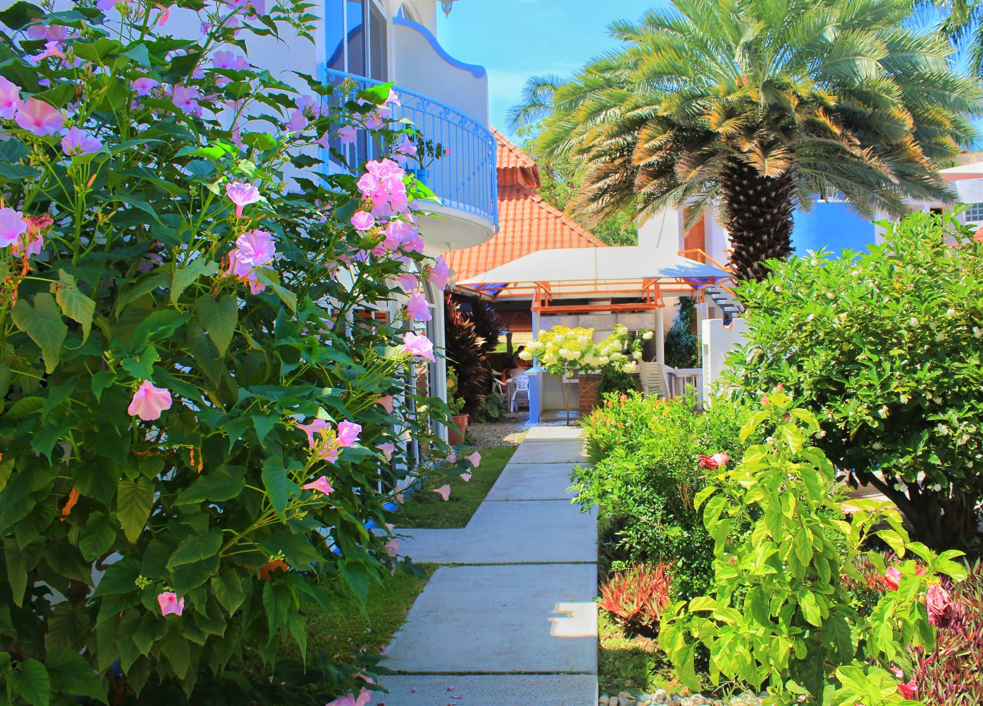 Mexico Lindo, General view