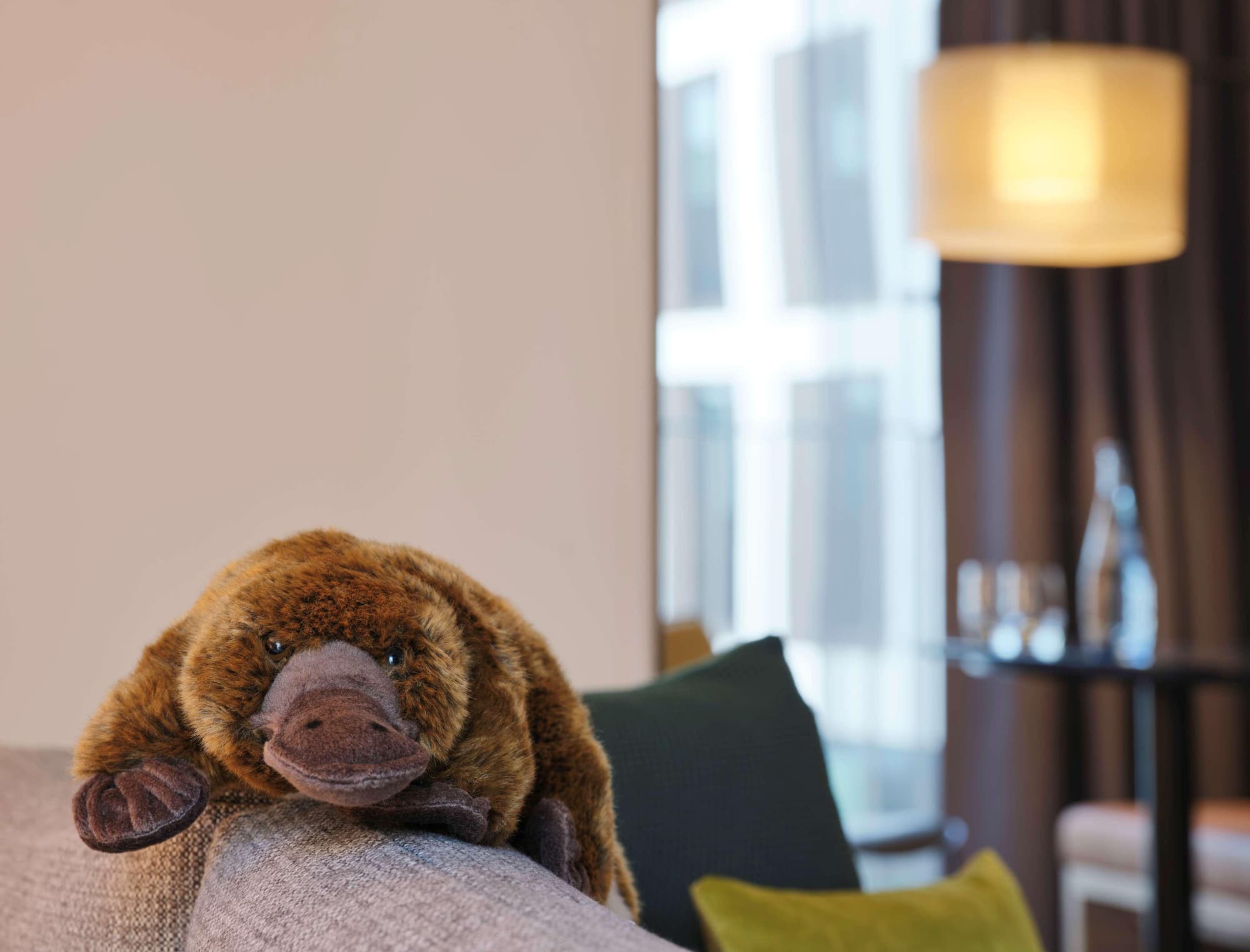 Adina Apartment Hotel Cologne, Room