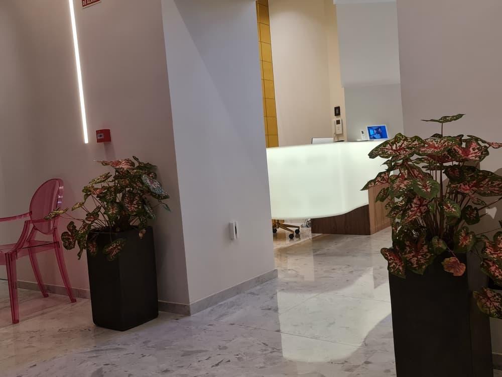 Hotel Sol Boutique, Lobby