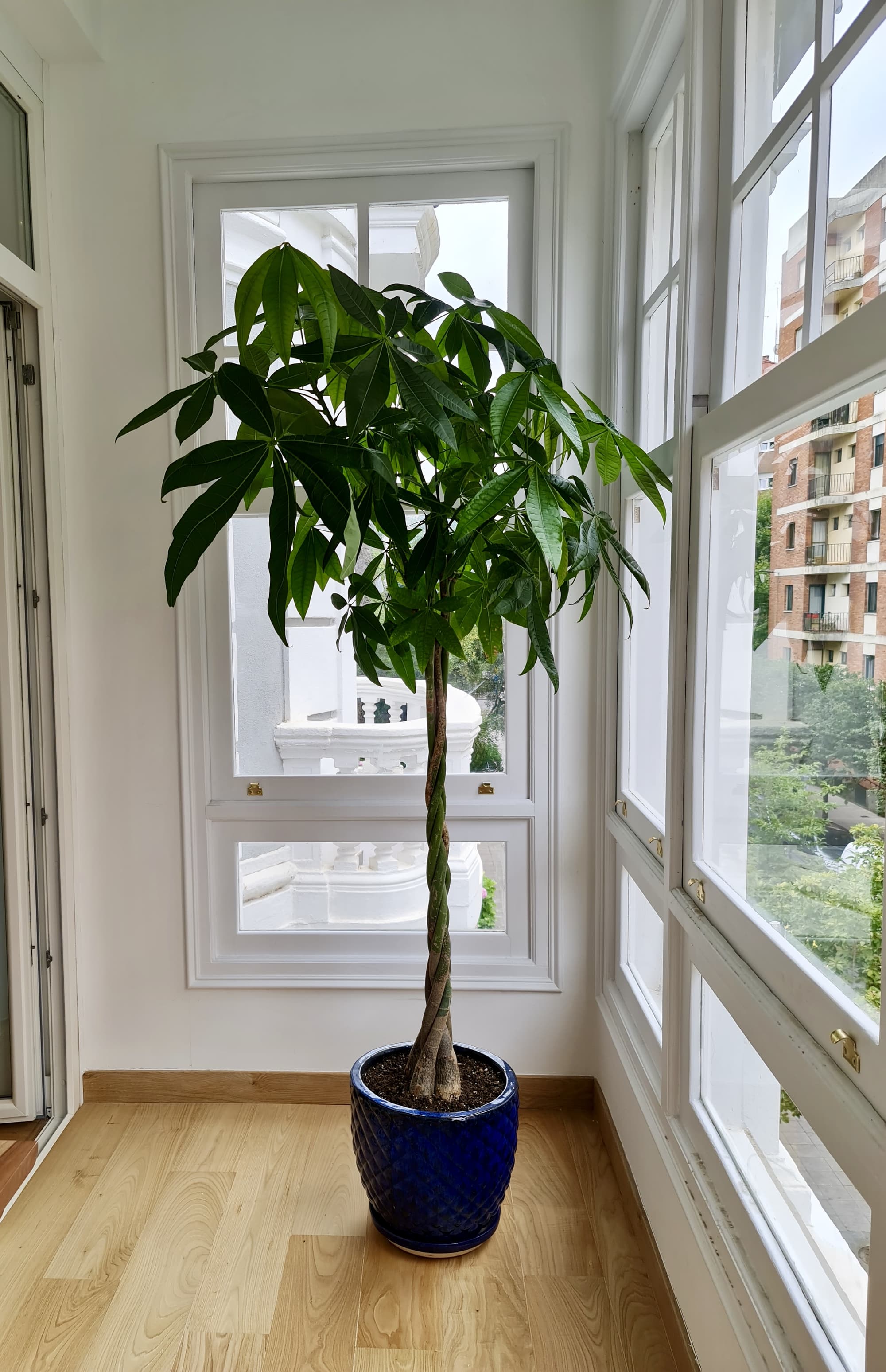 Hotel Sol Boutique, Room