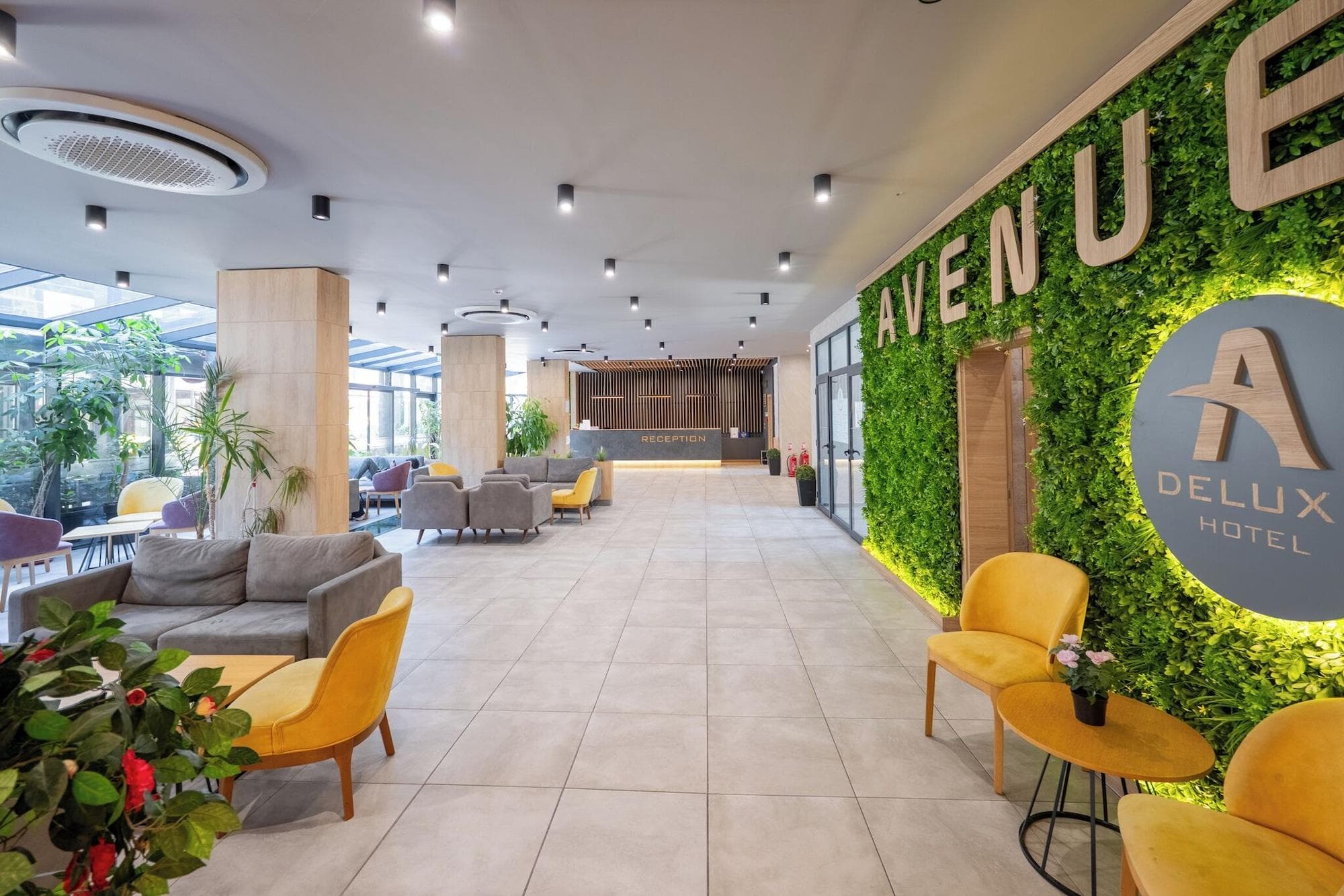 Hotel Avenue Deluxe, Lobby