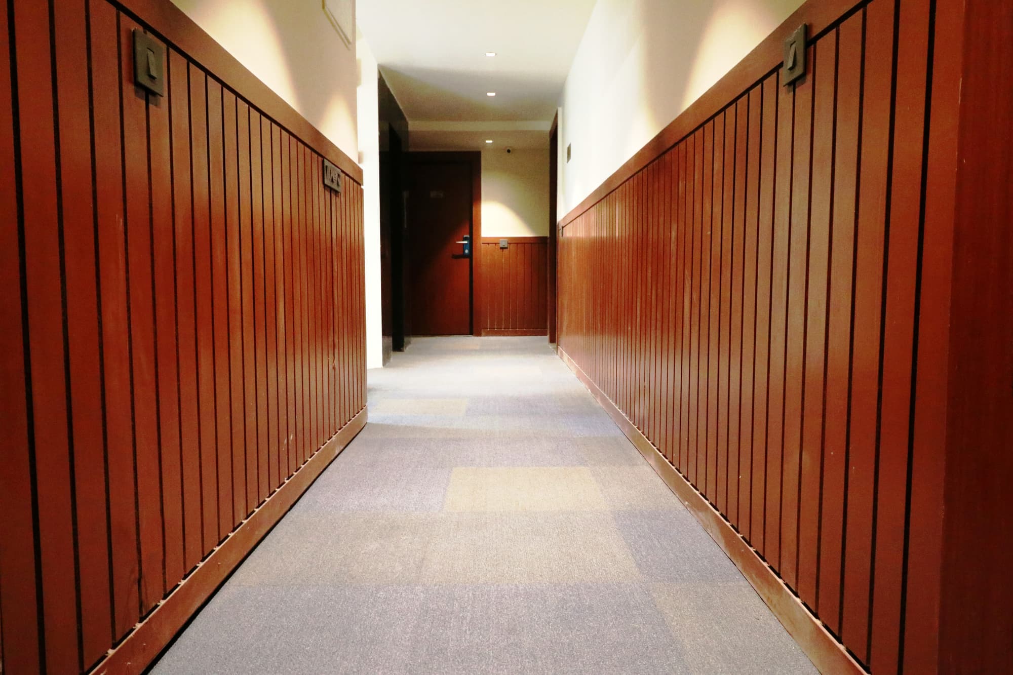 The Lake Hotel, General view