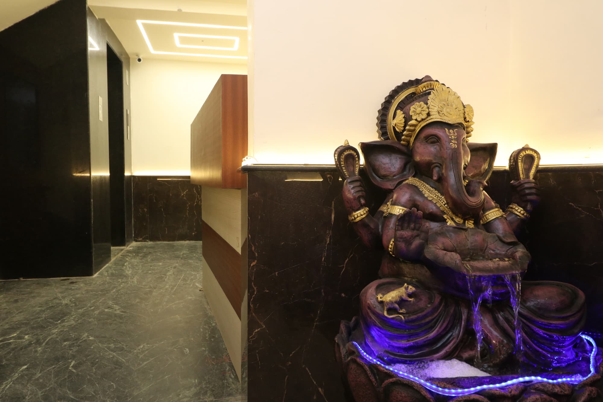 The Lake Hotel, General view