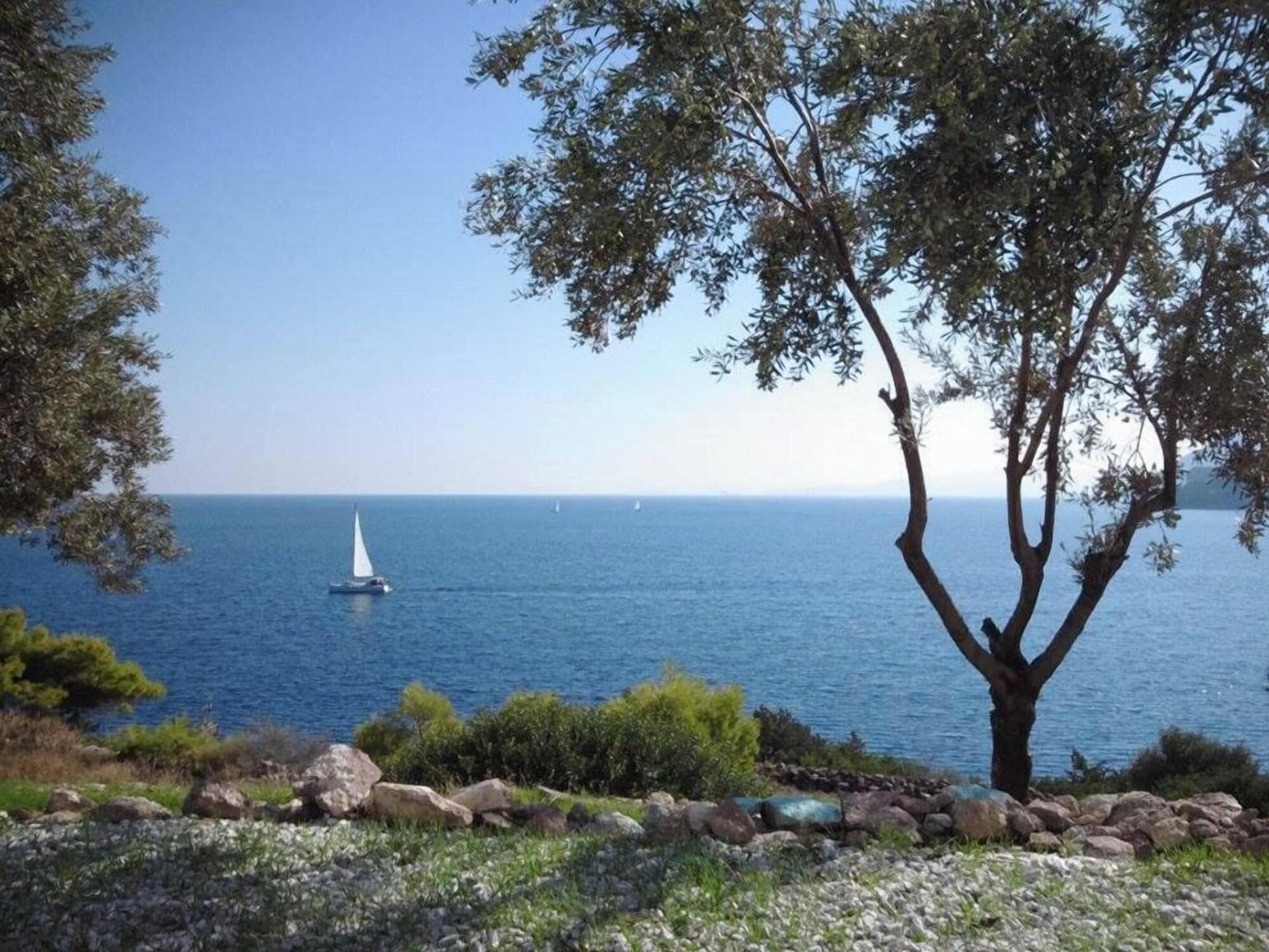 Kavos Bay Seafront Hotel, Sports and Entertainment