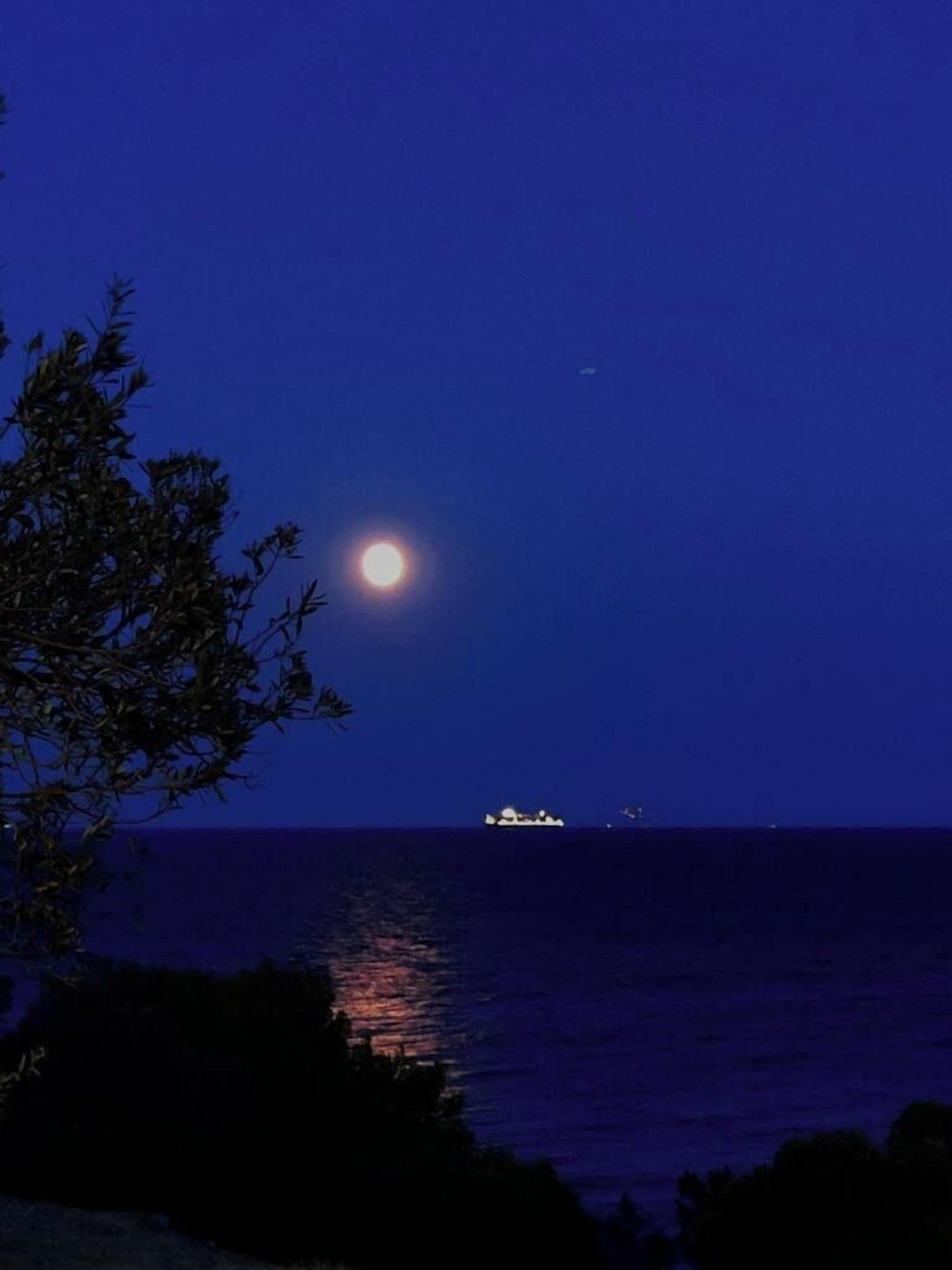 Kavos Bay Seafront Hotel, Room